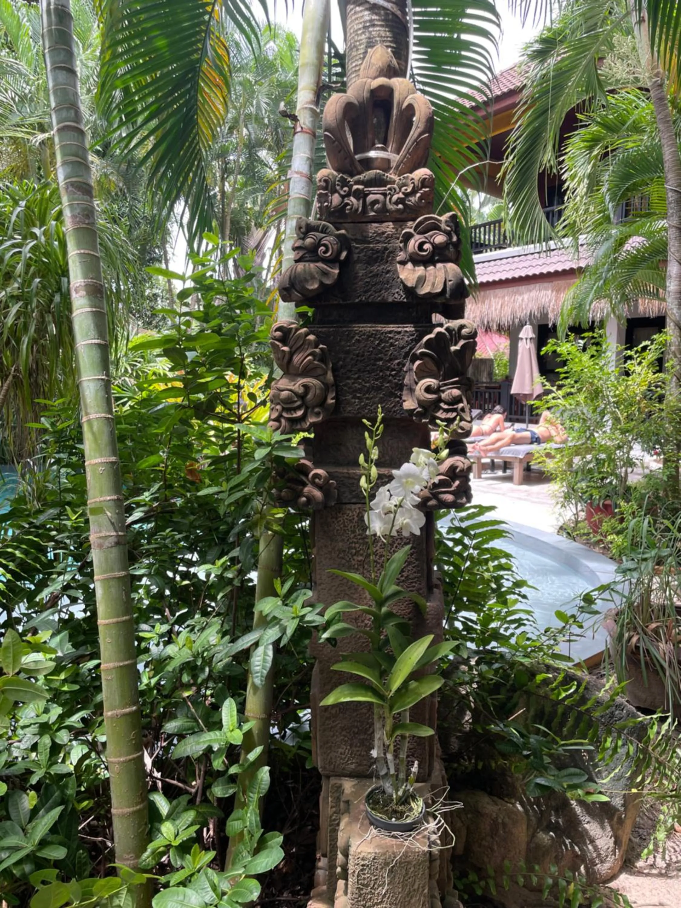 Garden in Jade cottages