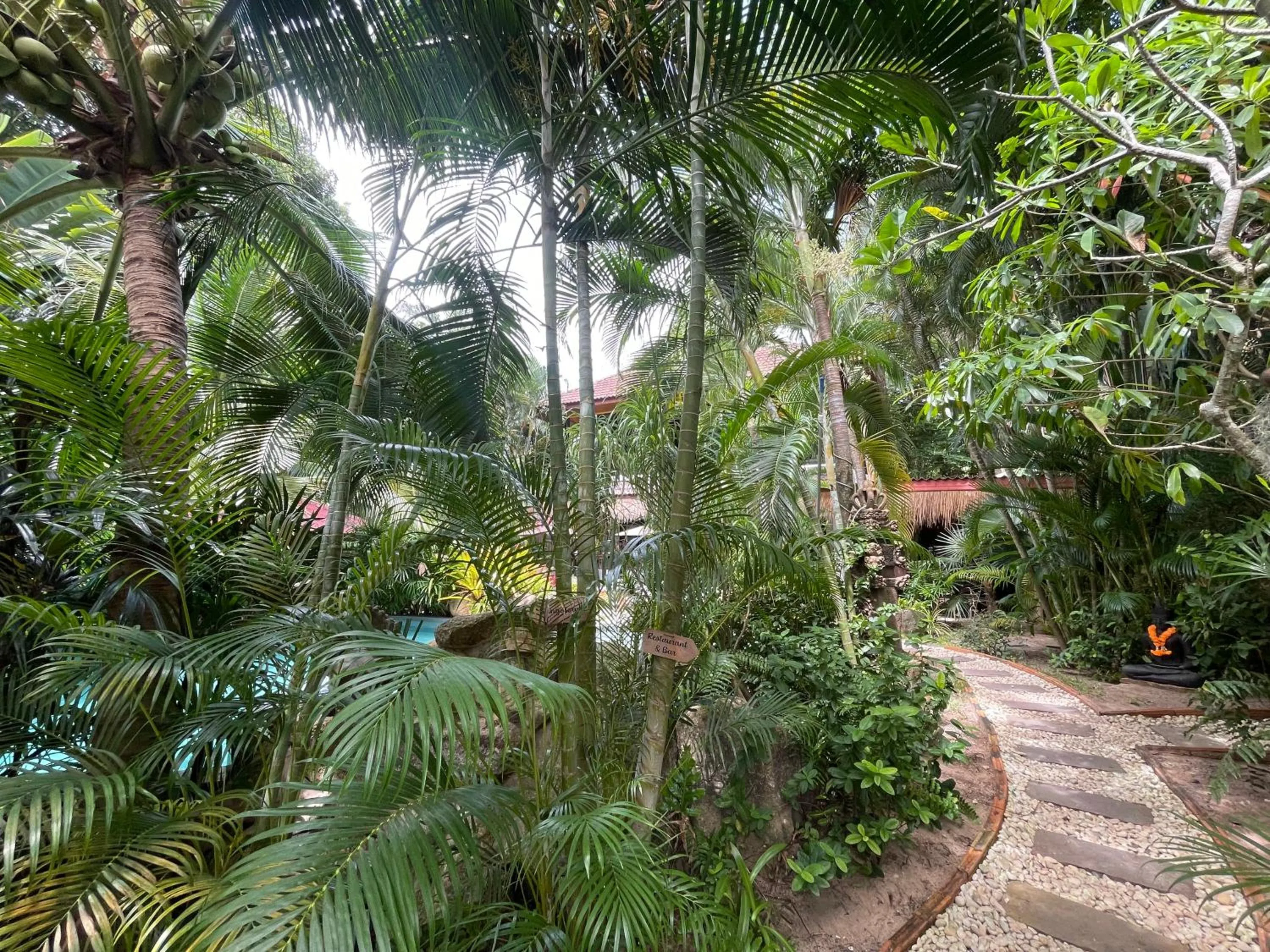 Garden in Jade cottages