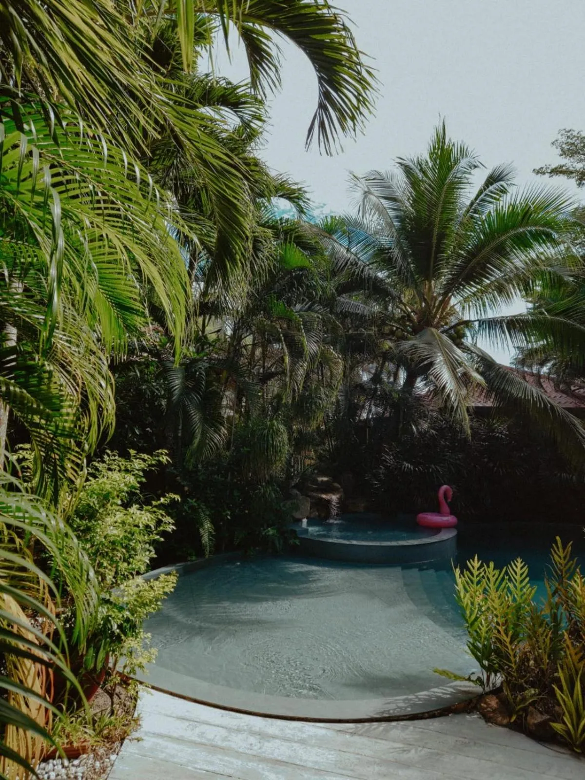 Natural landscape in Jade cottages
