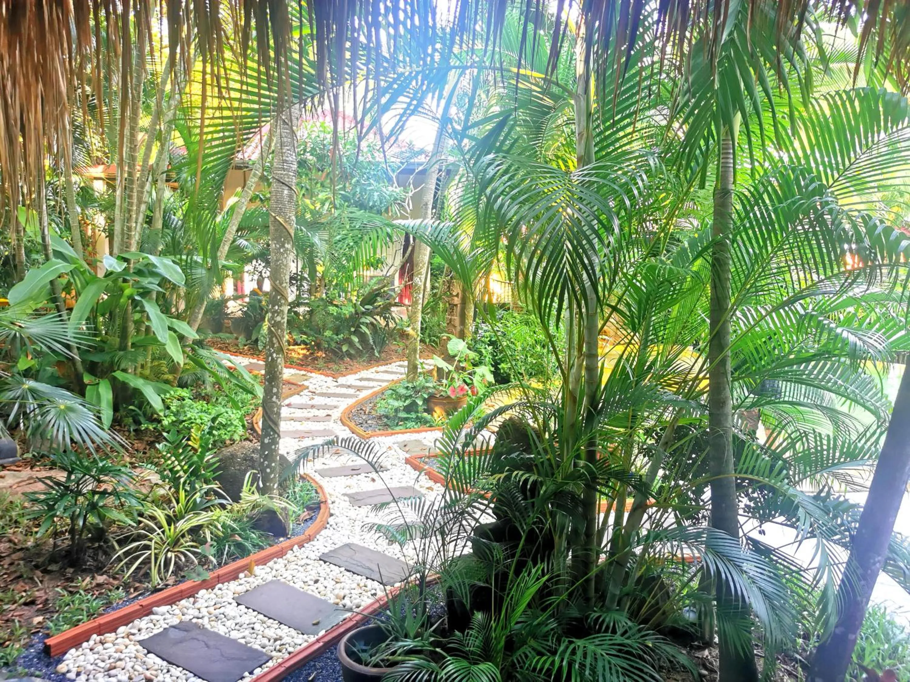 Natural landscape in Jade cottages