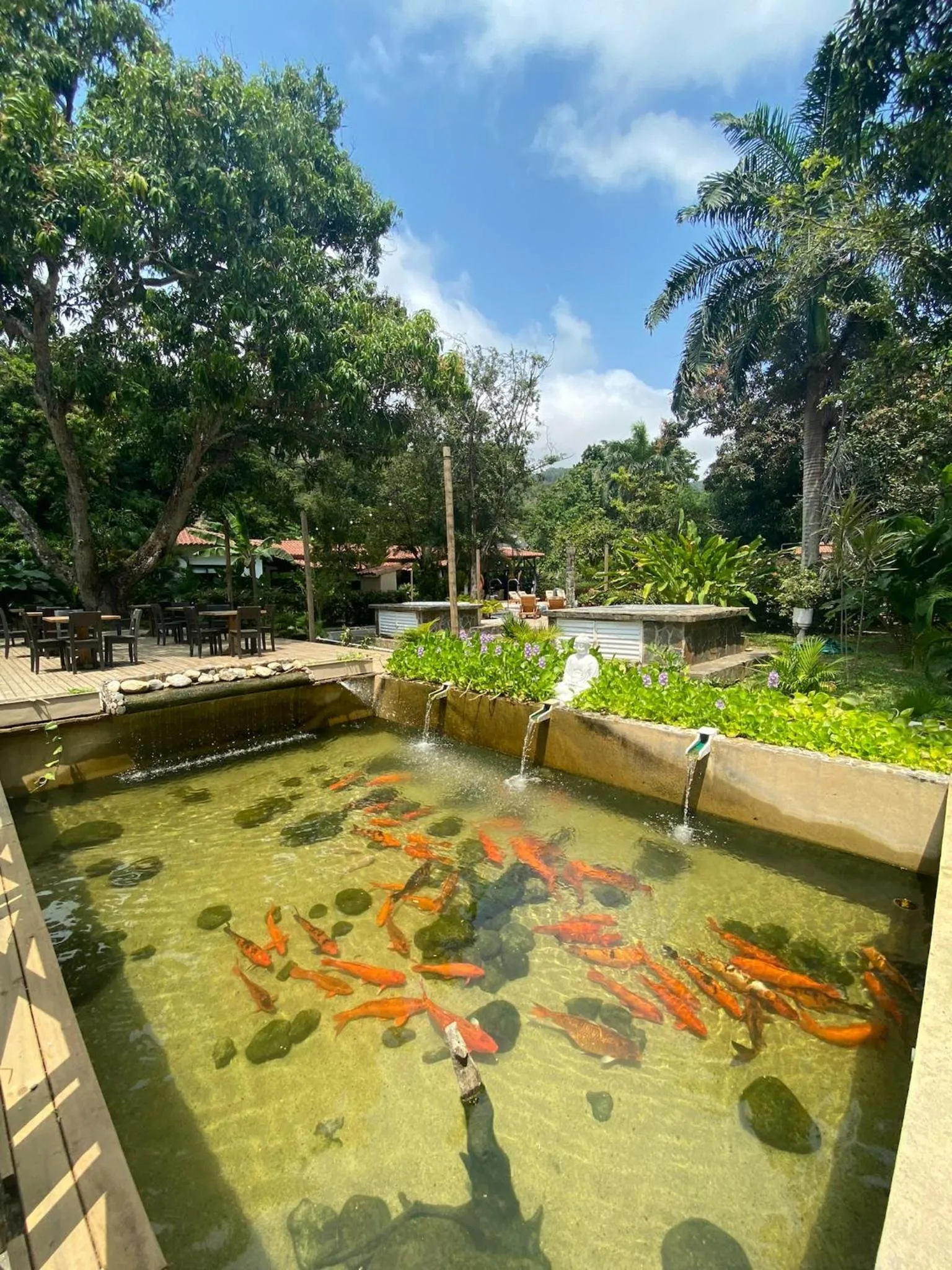 Garden in Kantawa Hotel & Spa