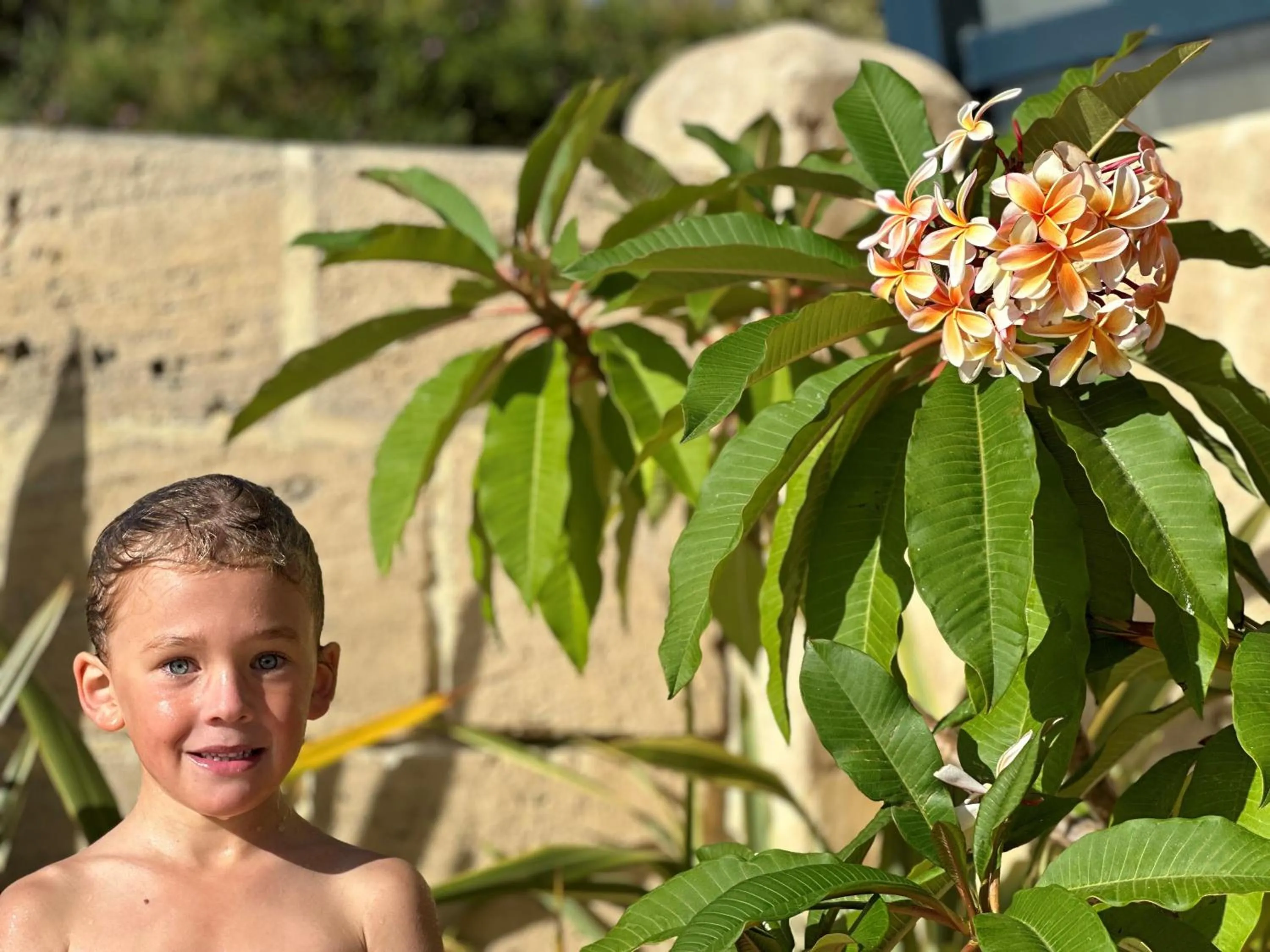 Garden in BIG4 Middleton Beach Holiday Park
