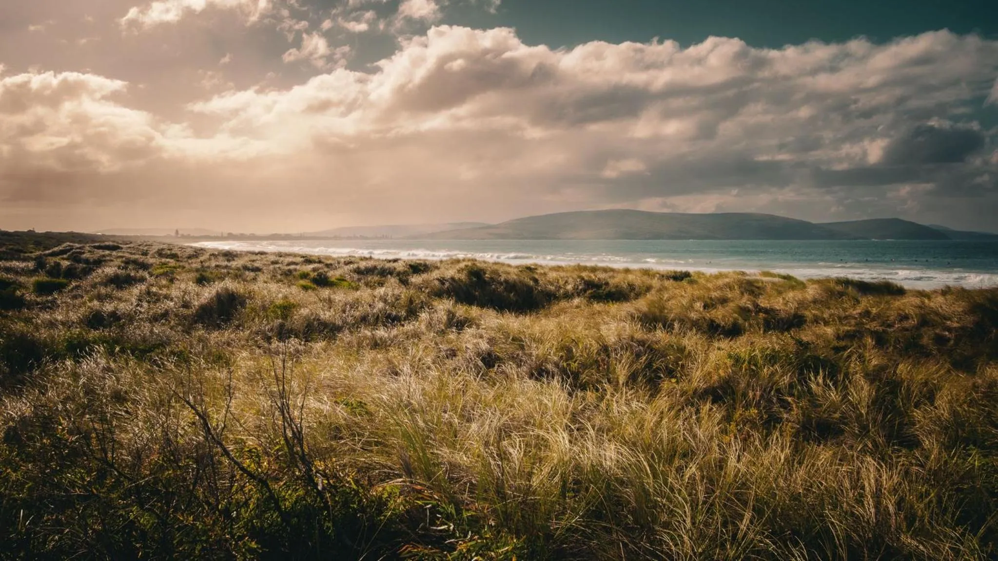 Beach in BIG4 Middleton Beach Holiday Park
