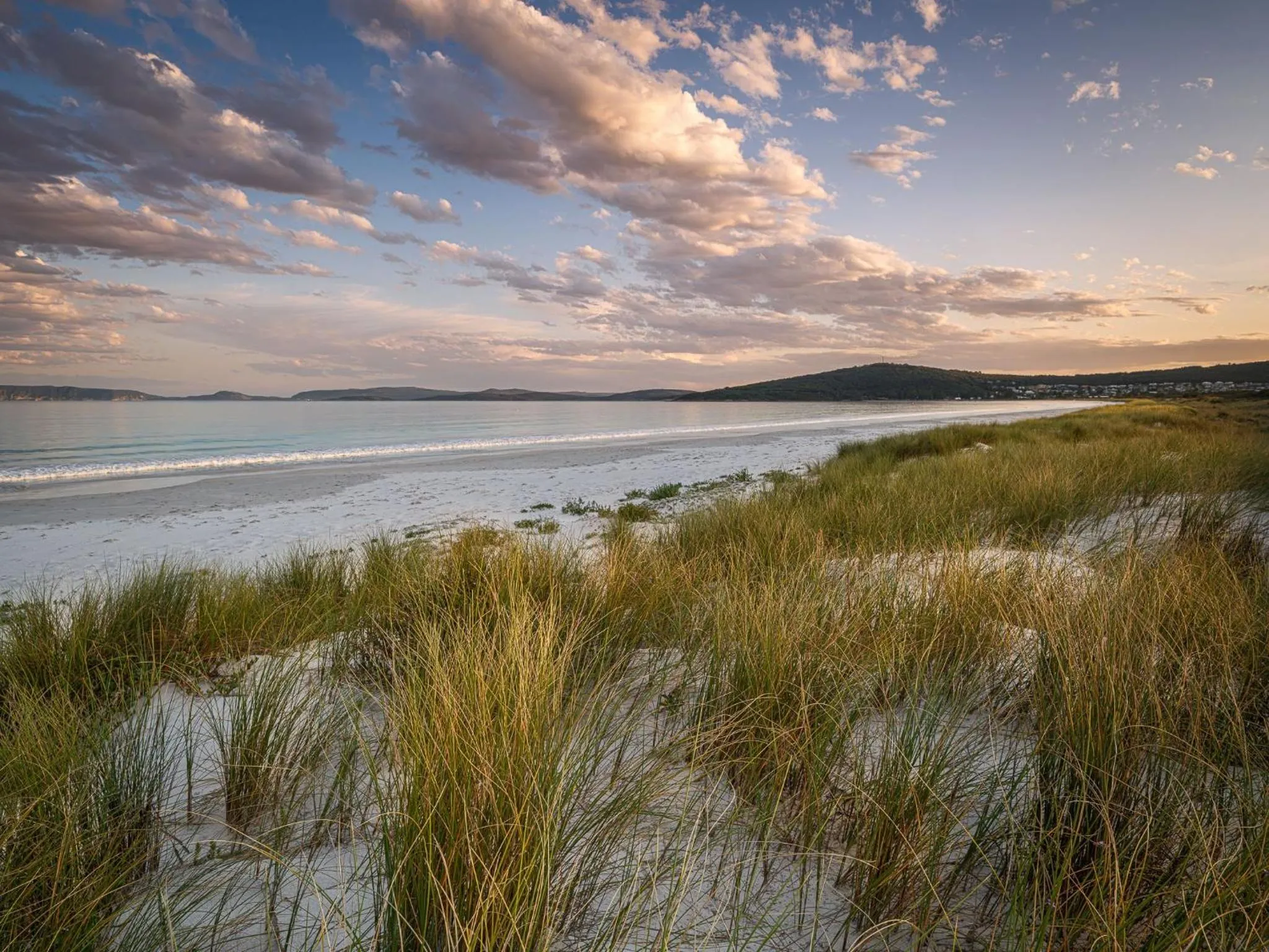 Beach in BIG4 Middleton Beach Holiday Park