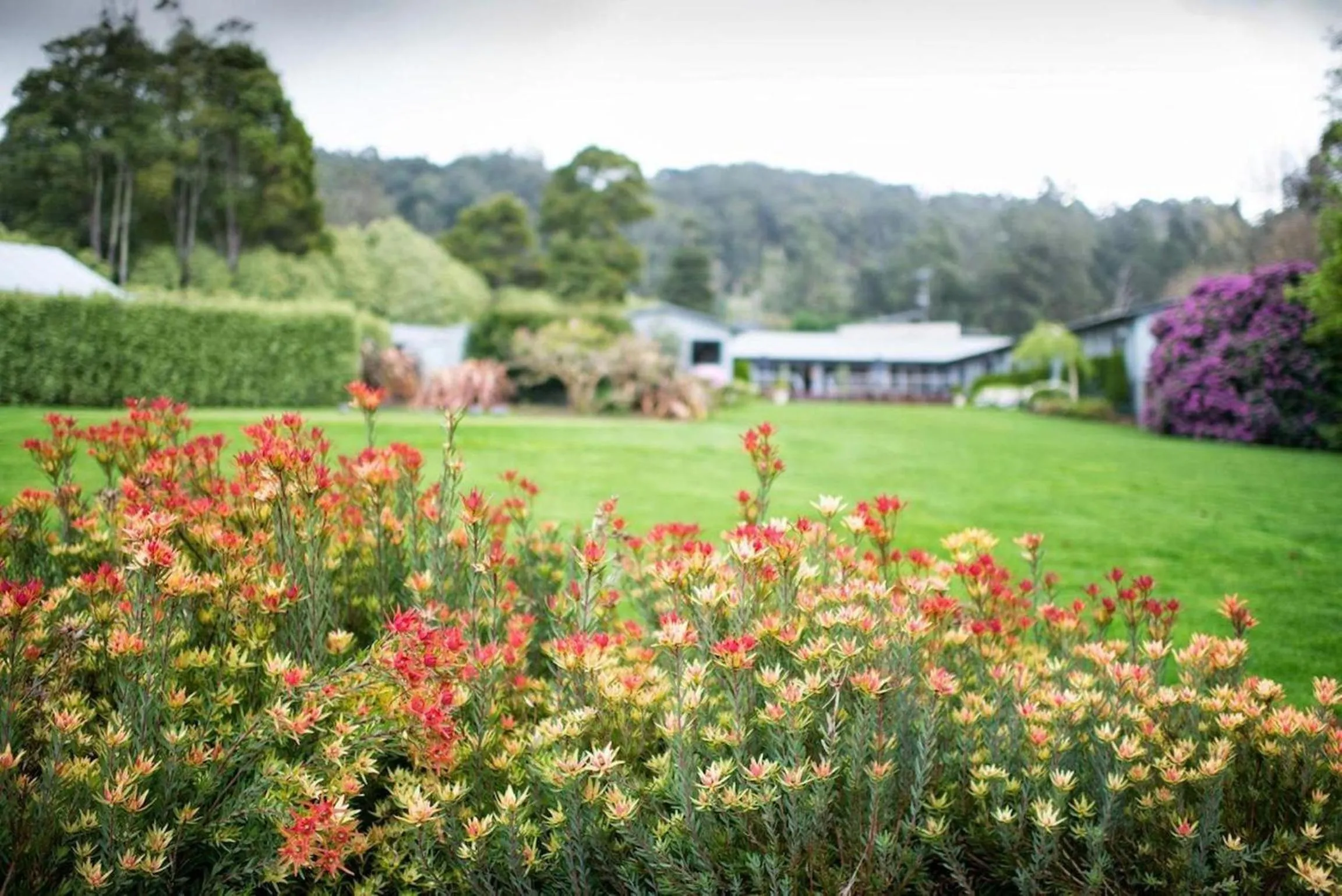 Garden in Panorama Retreat & Resort