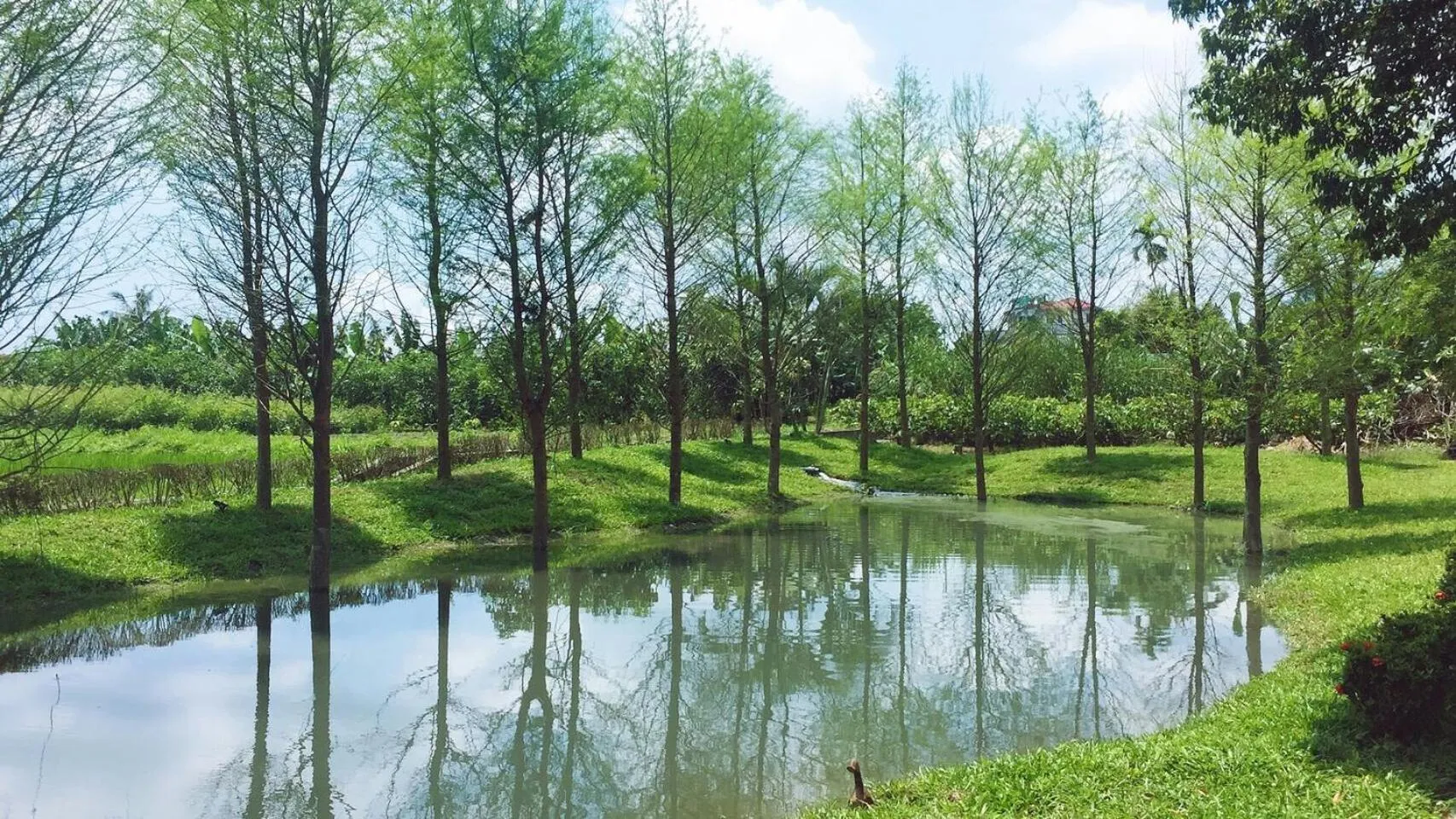 Lake view in Bali Lover