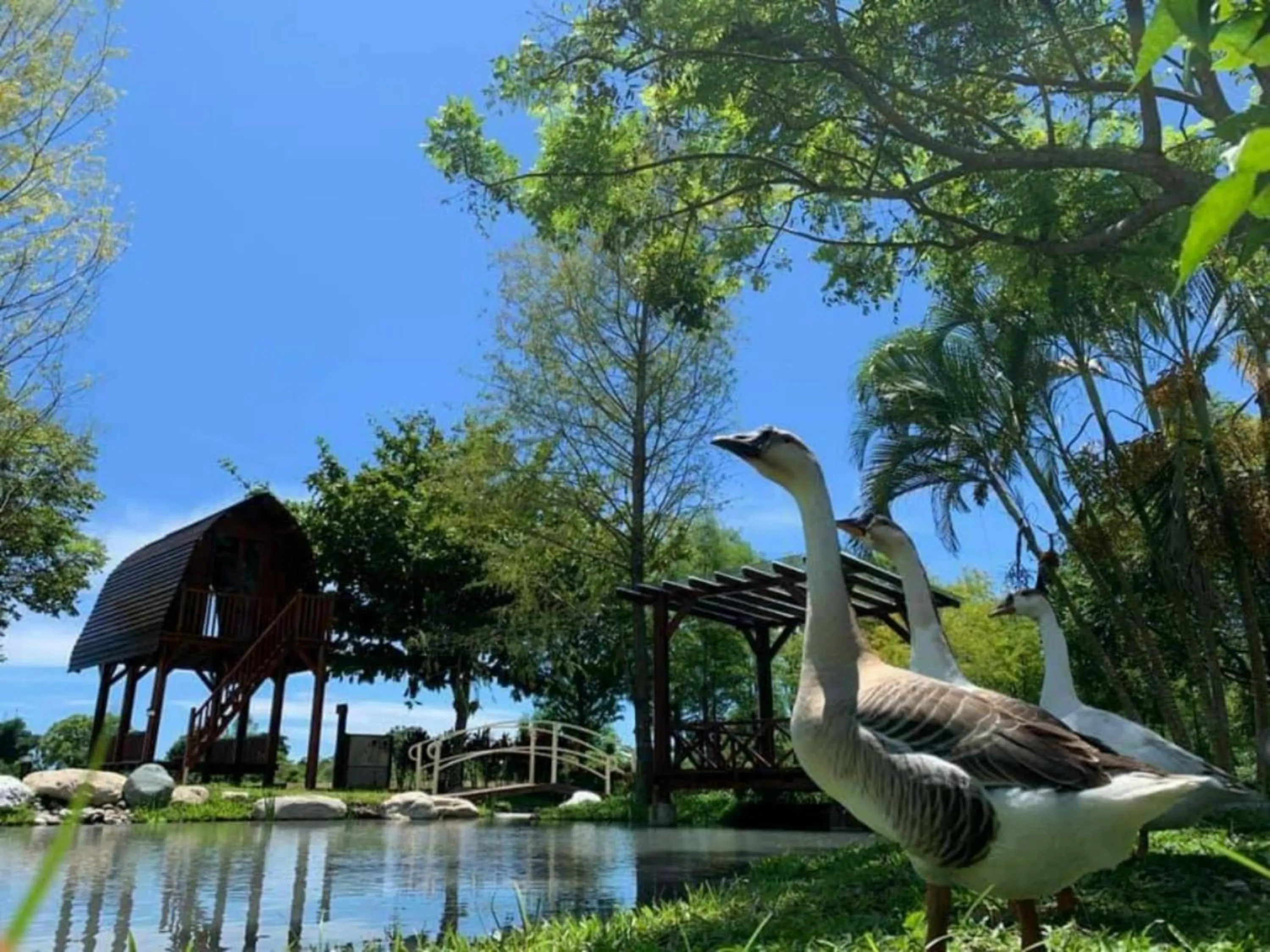 Garden view in Bali Lover