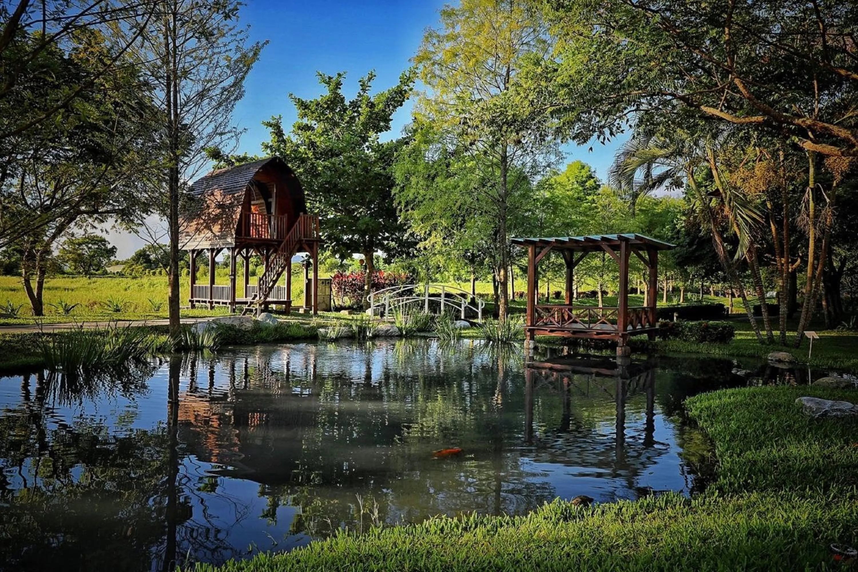 Garden in Bali Lover