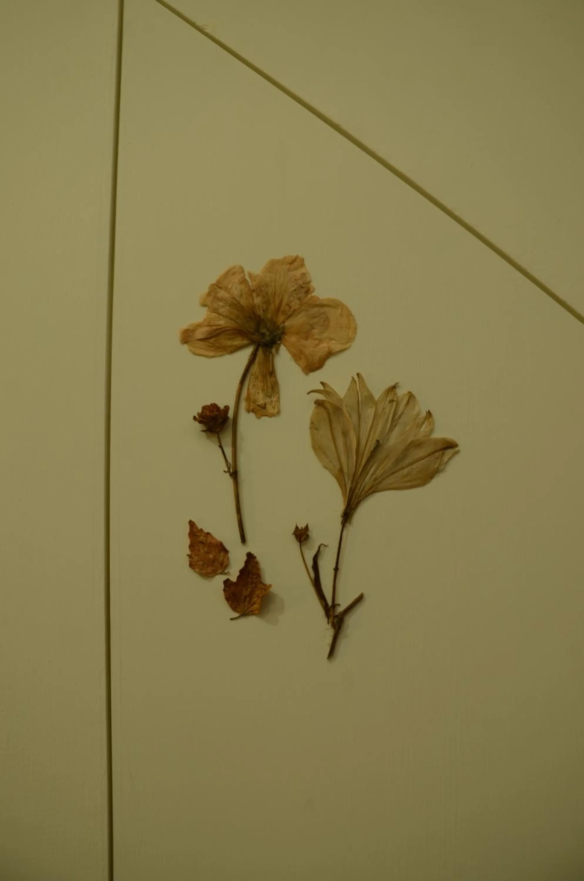 Living room in East of Love Homestay