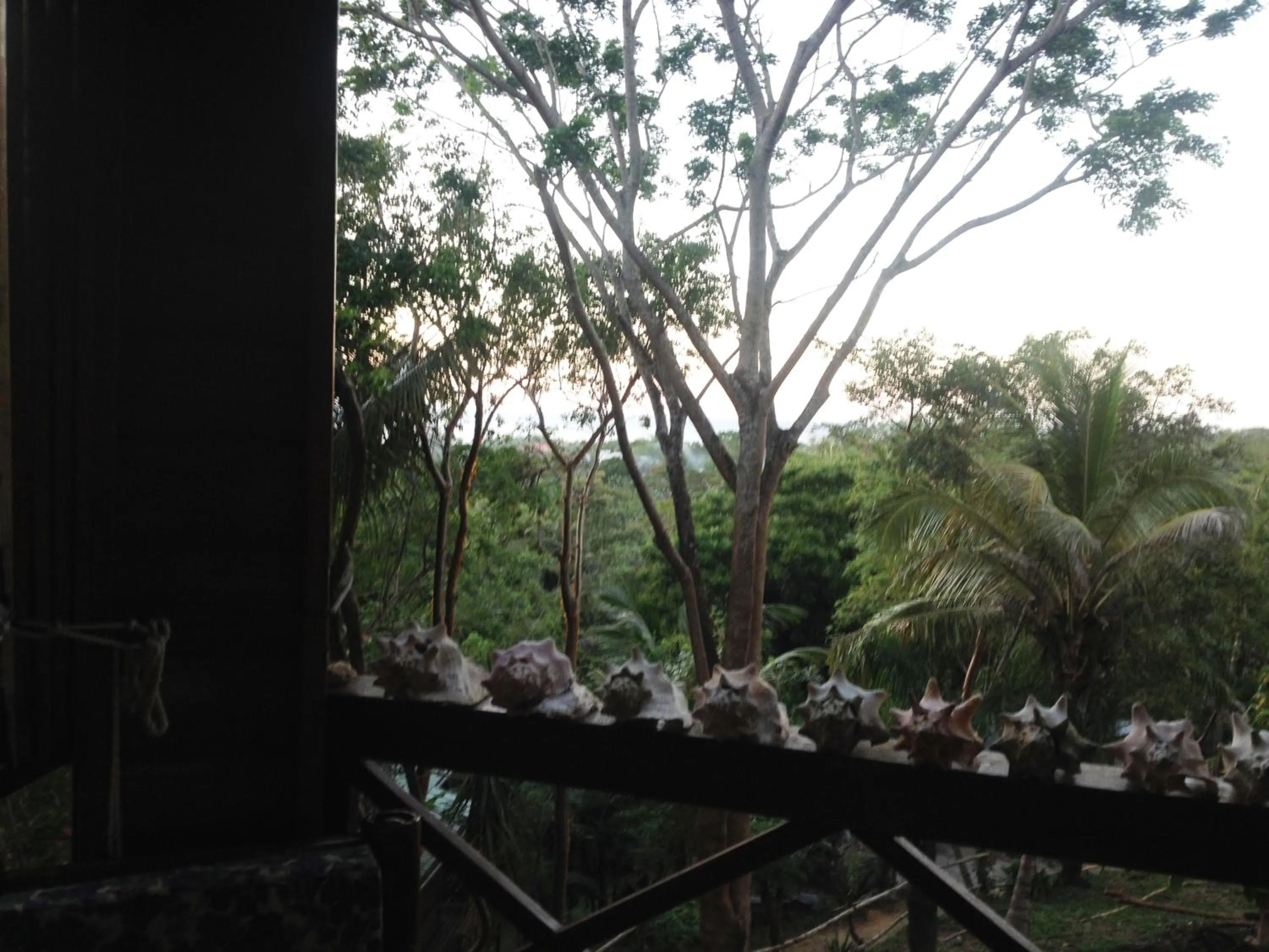 Balcony/Terrace in Roatan Bed & Breakfast Apartments