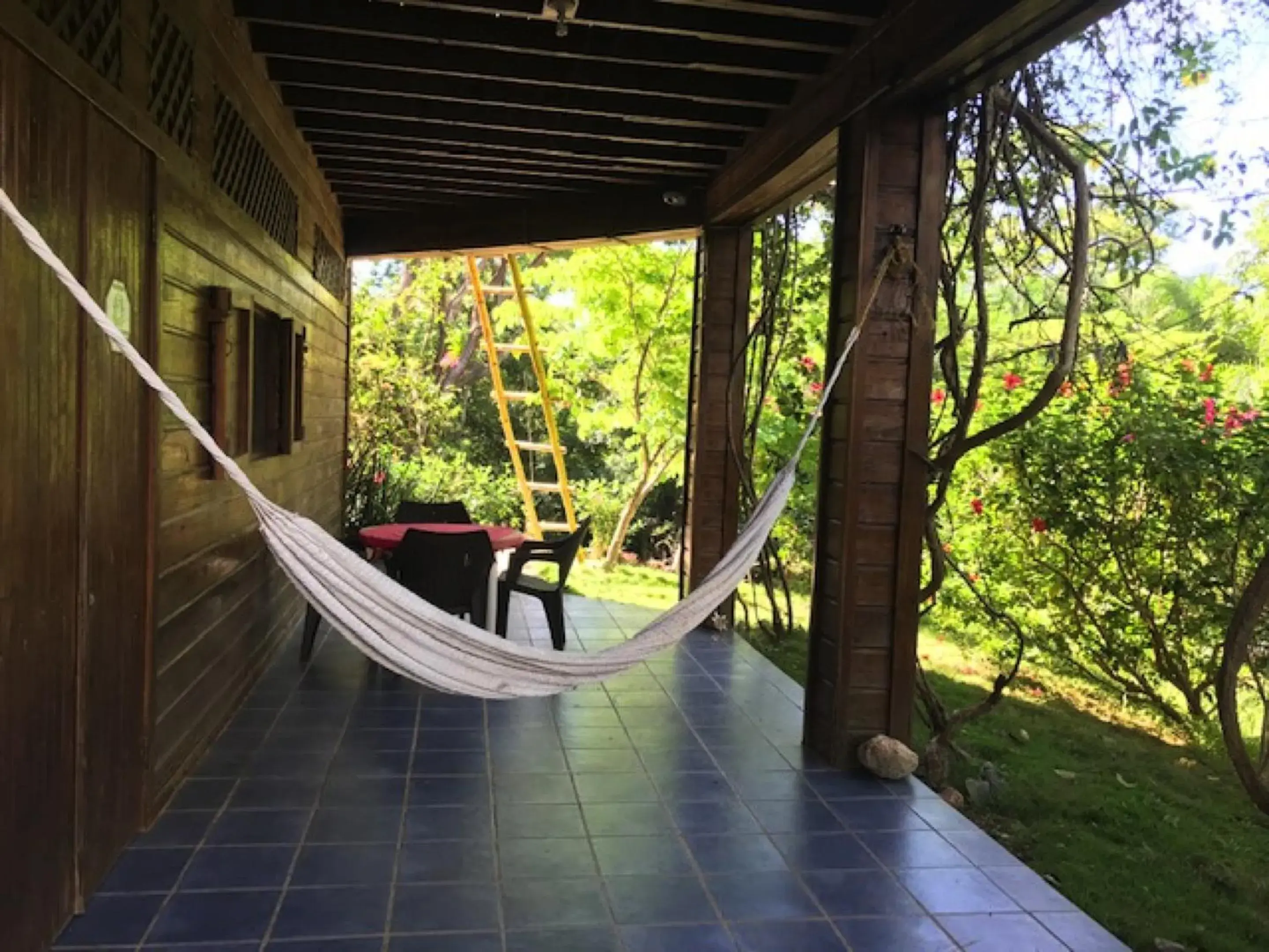 One-Bedroom Apartment in Roatan Bed & Breakfast Apartments One-Bedroom Apartment in Roatan Bed & Breakfast Apartments