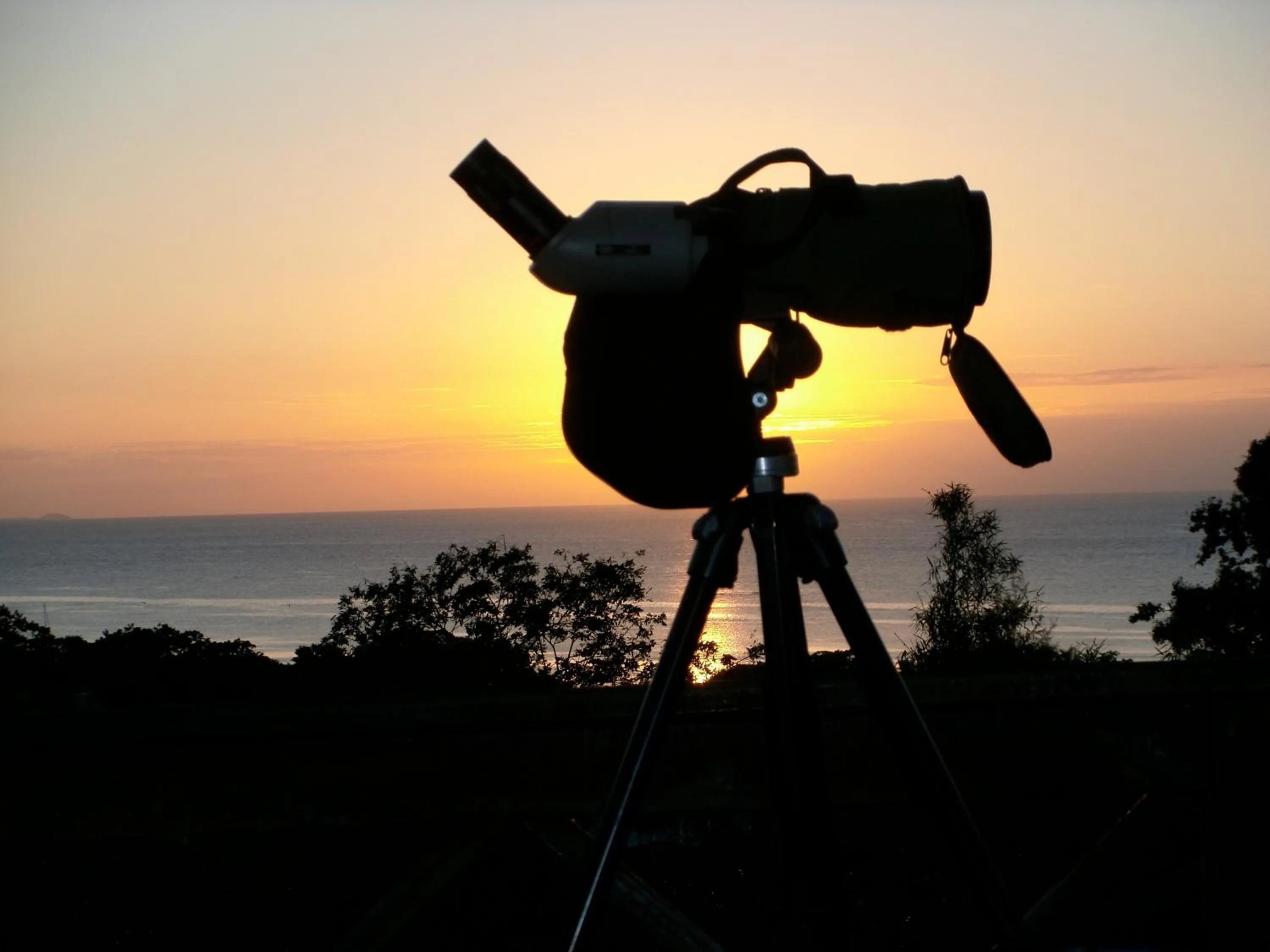 Area and facilities in Roatan Bed & Breakfast Apartments