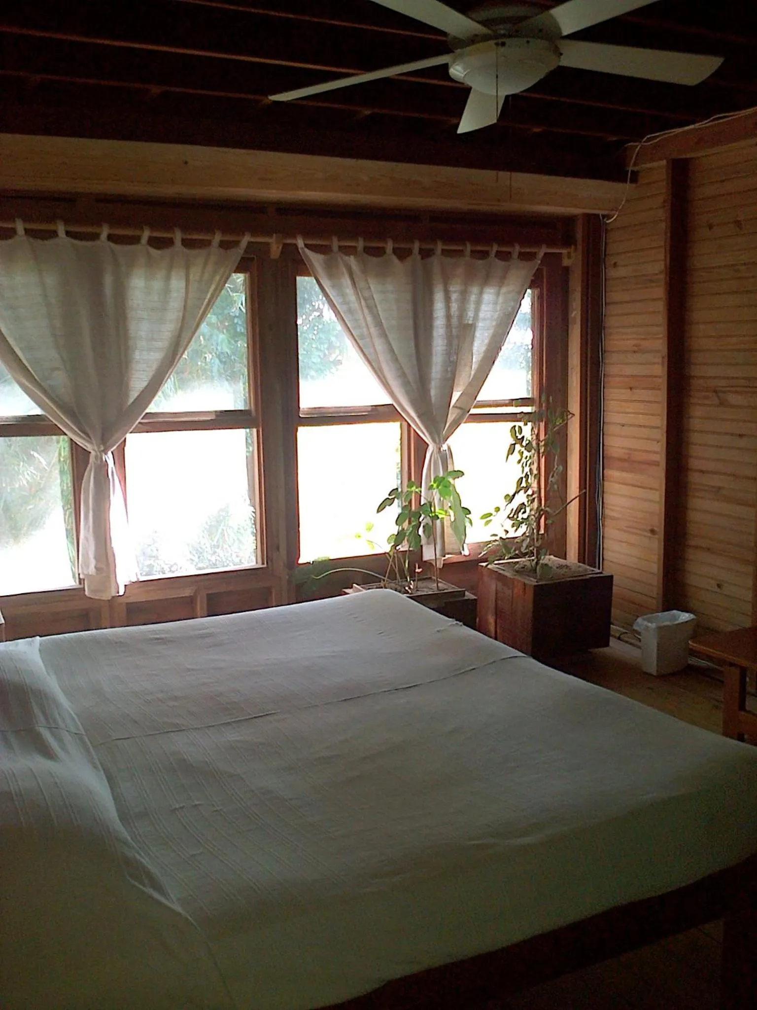 Bedroom, Bed in Roatan Bed & Breakfast Apartments