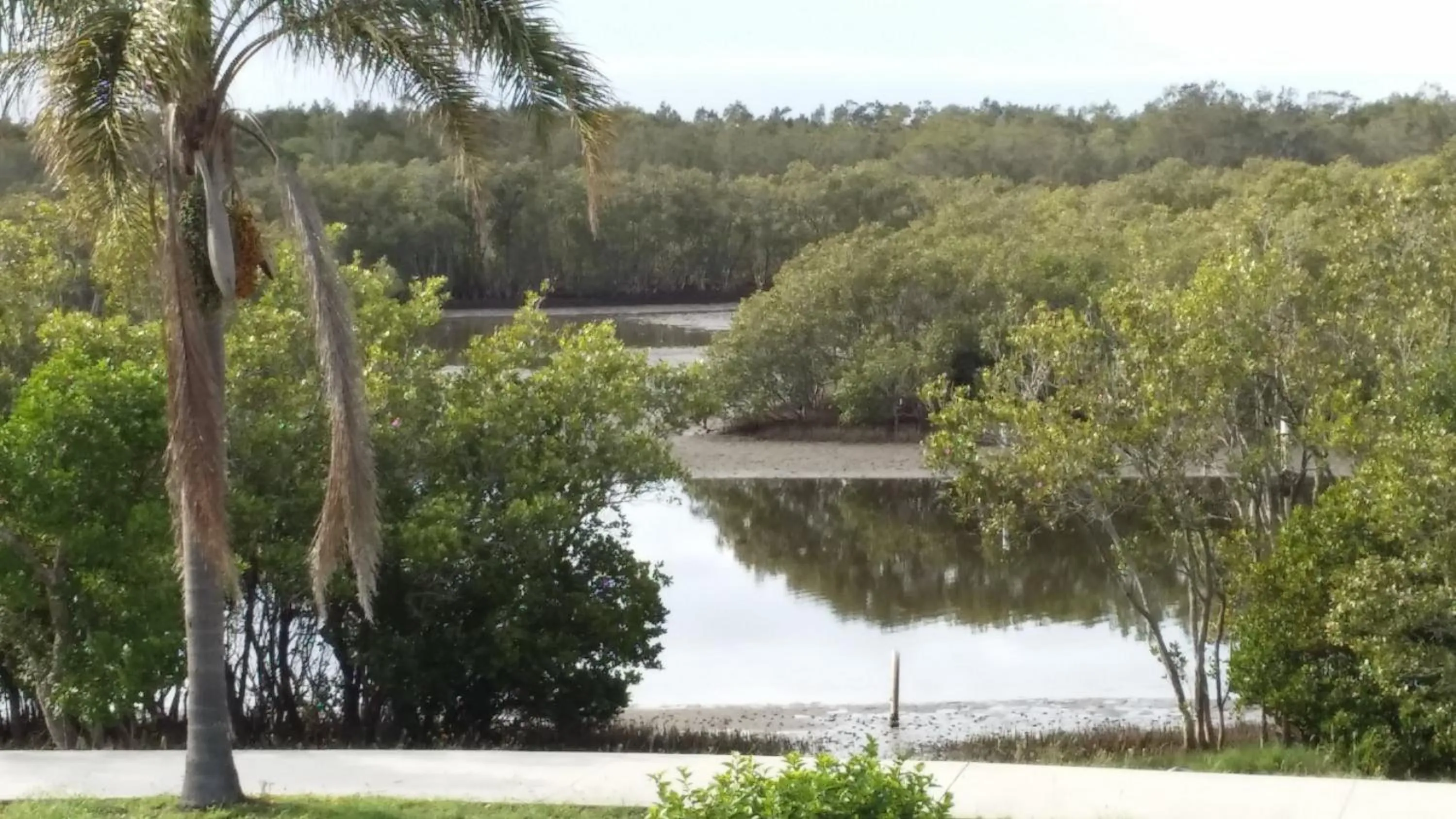 River view in Harrington Village Motel