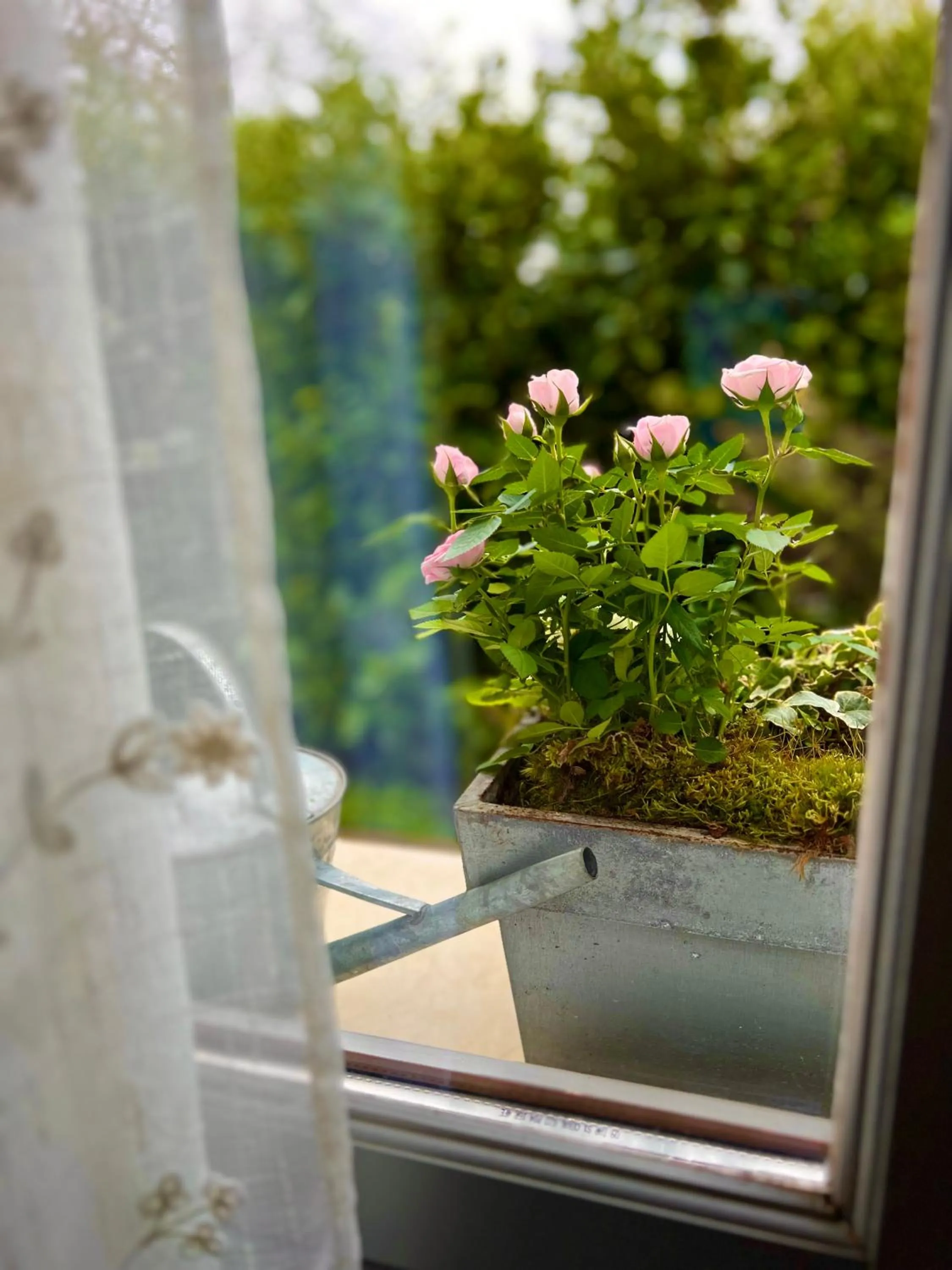 Spring in GSand Le Clos du May