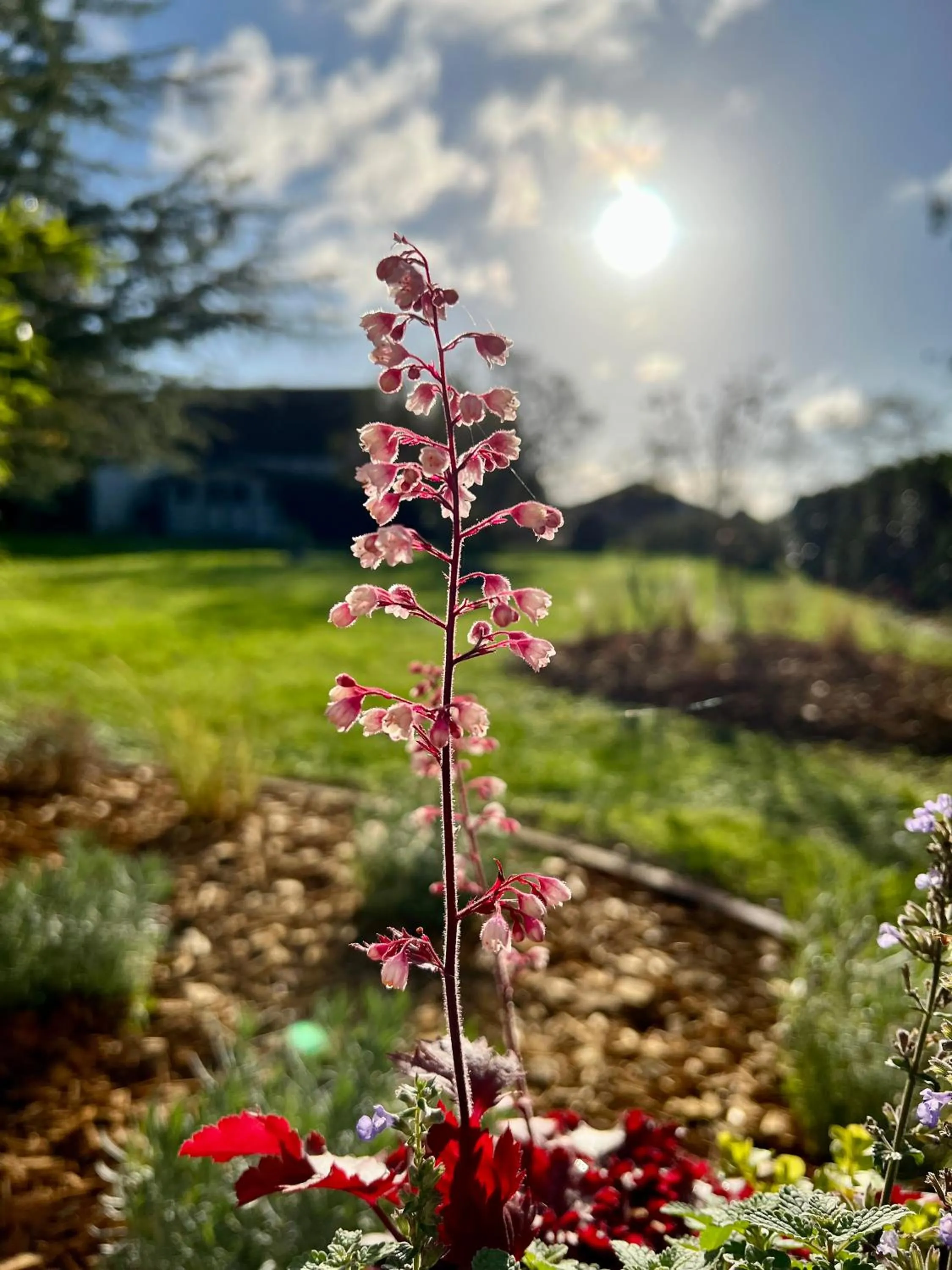 Garden in GSand Le Clos du May
