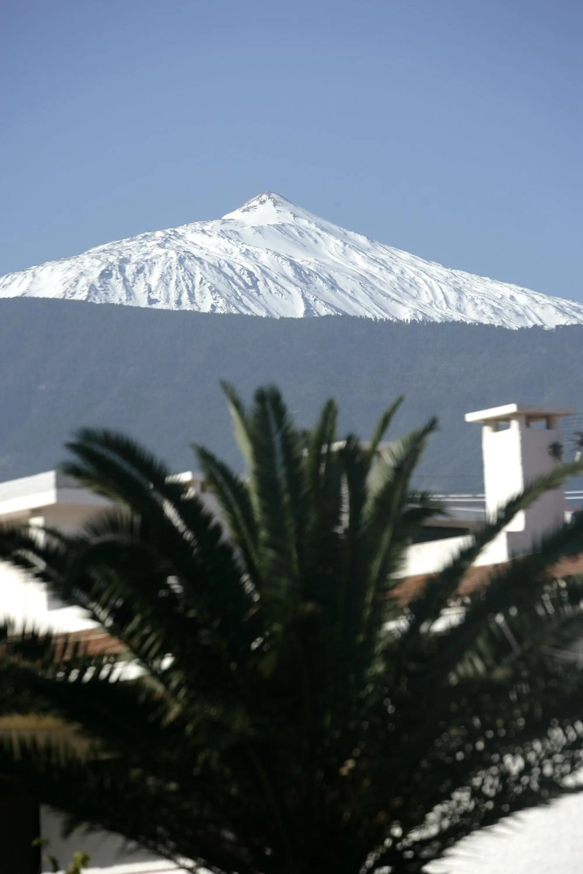 View (from property/room) in H10 Tenerife Playa