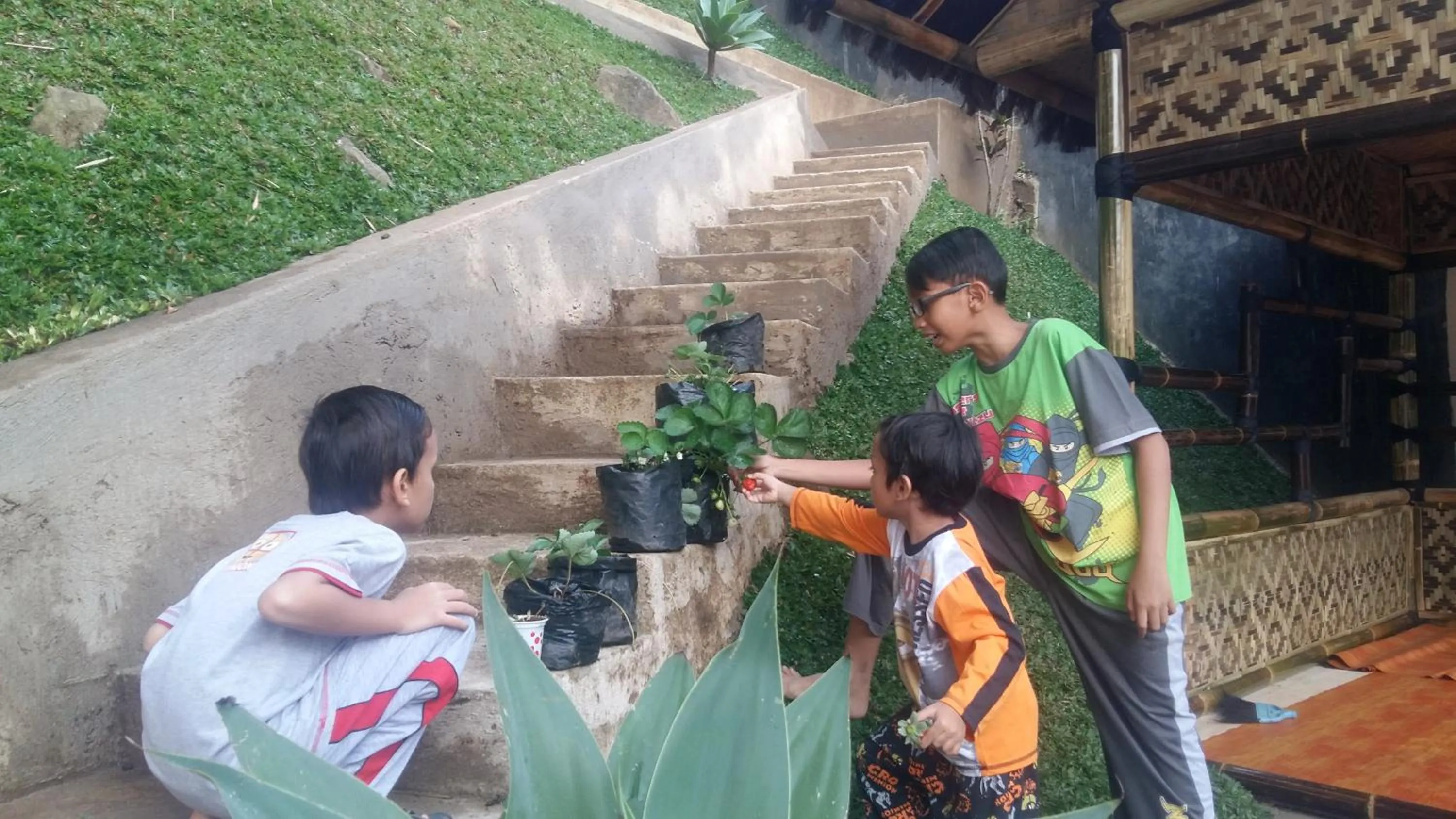Balcony/Terrace in Villa Roemi