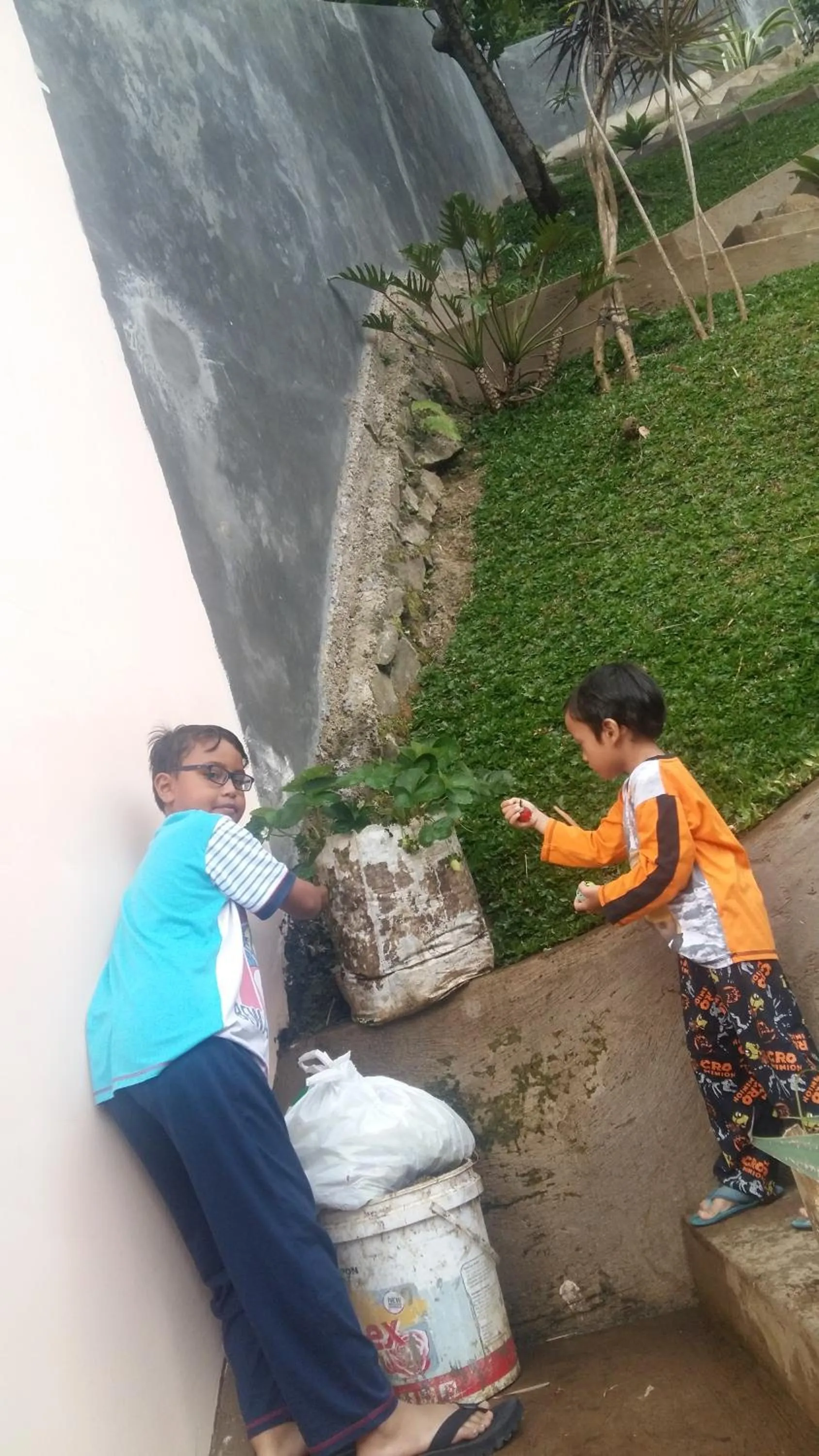 Entertainment in Villa Roemi