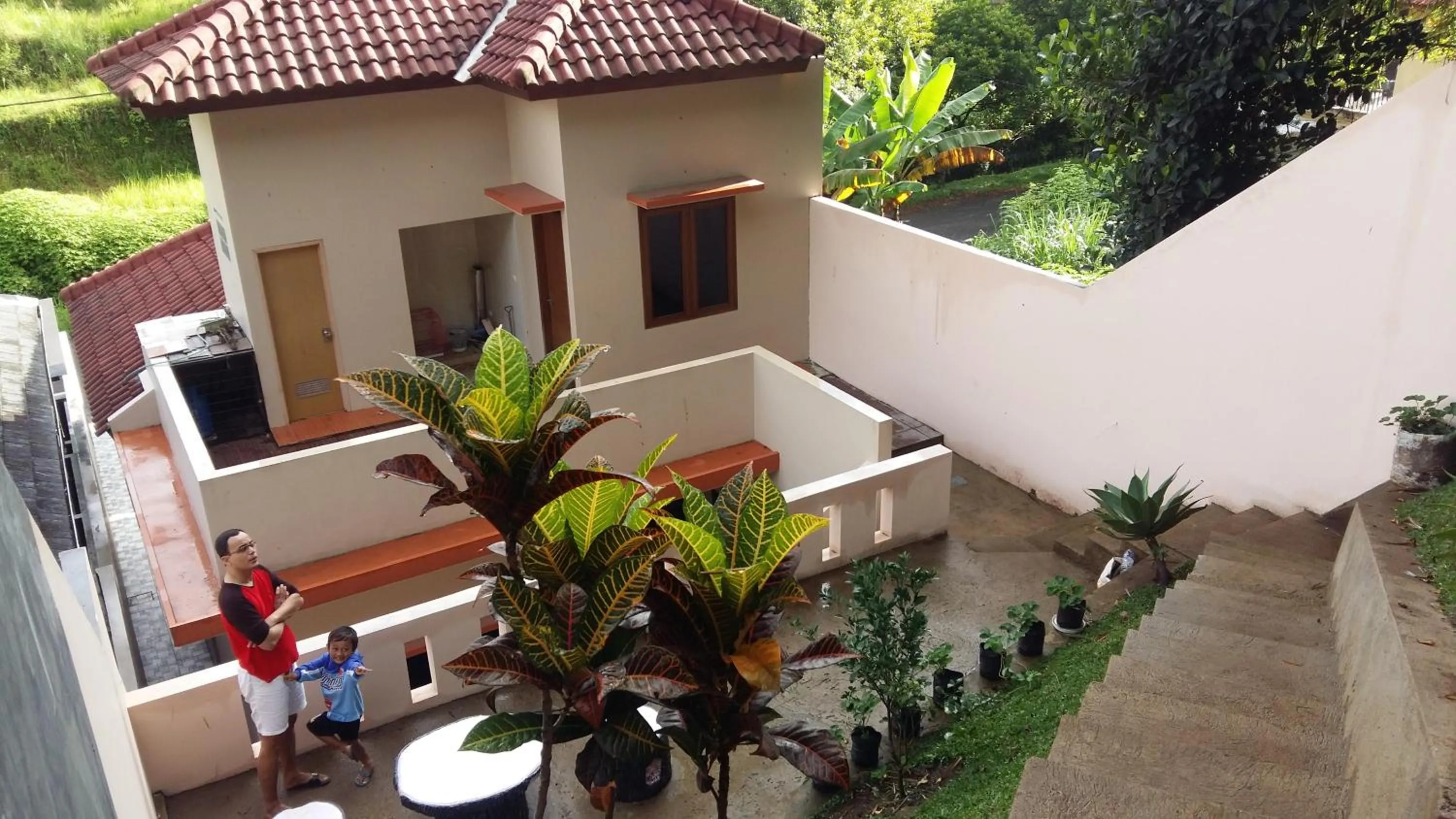 Garden view in Villa Roemi