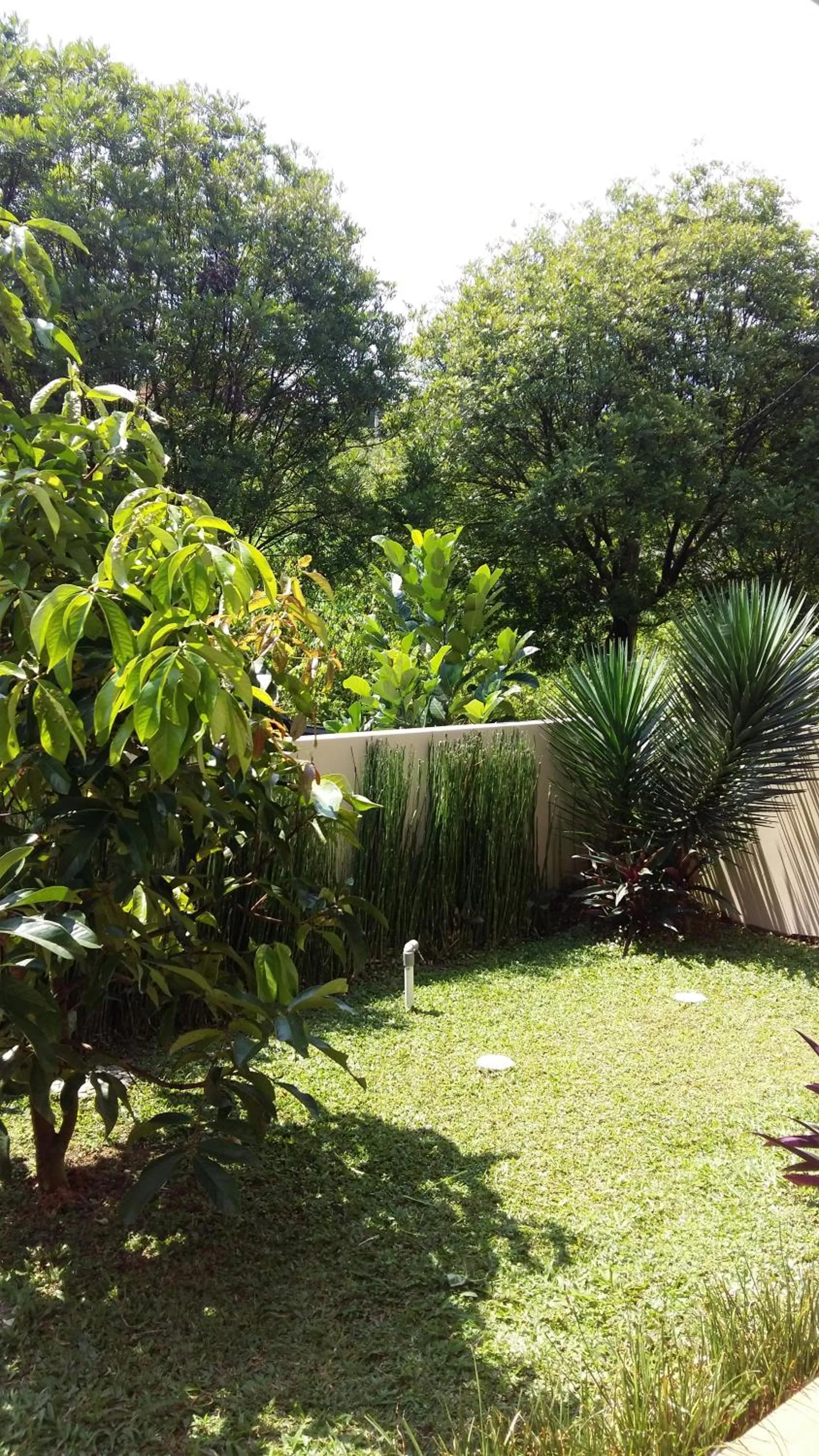 Garden view in Villa Roemi