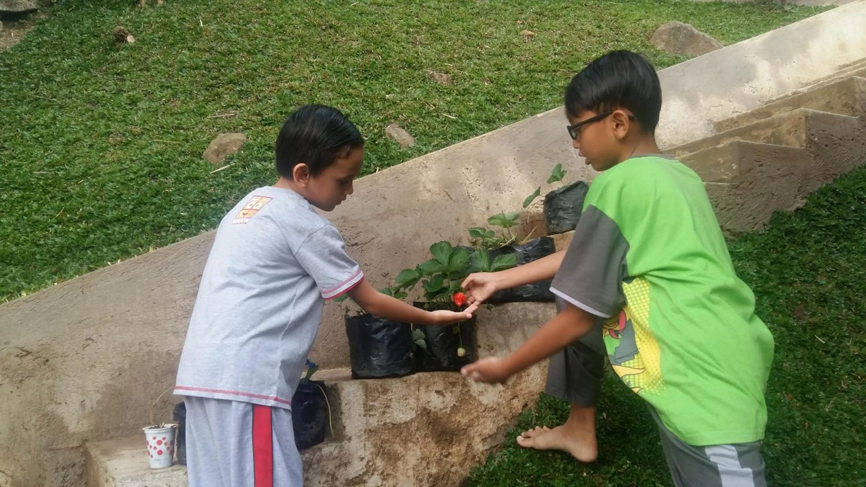 Entertainment in Villa Roemi