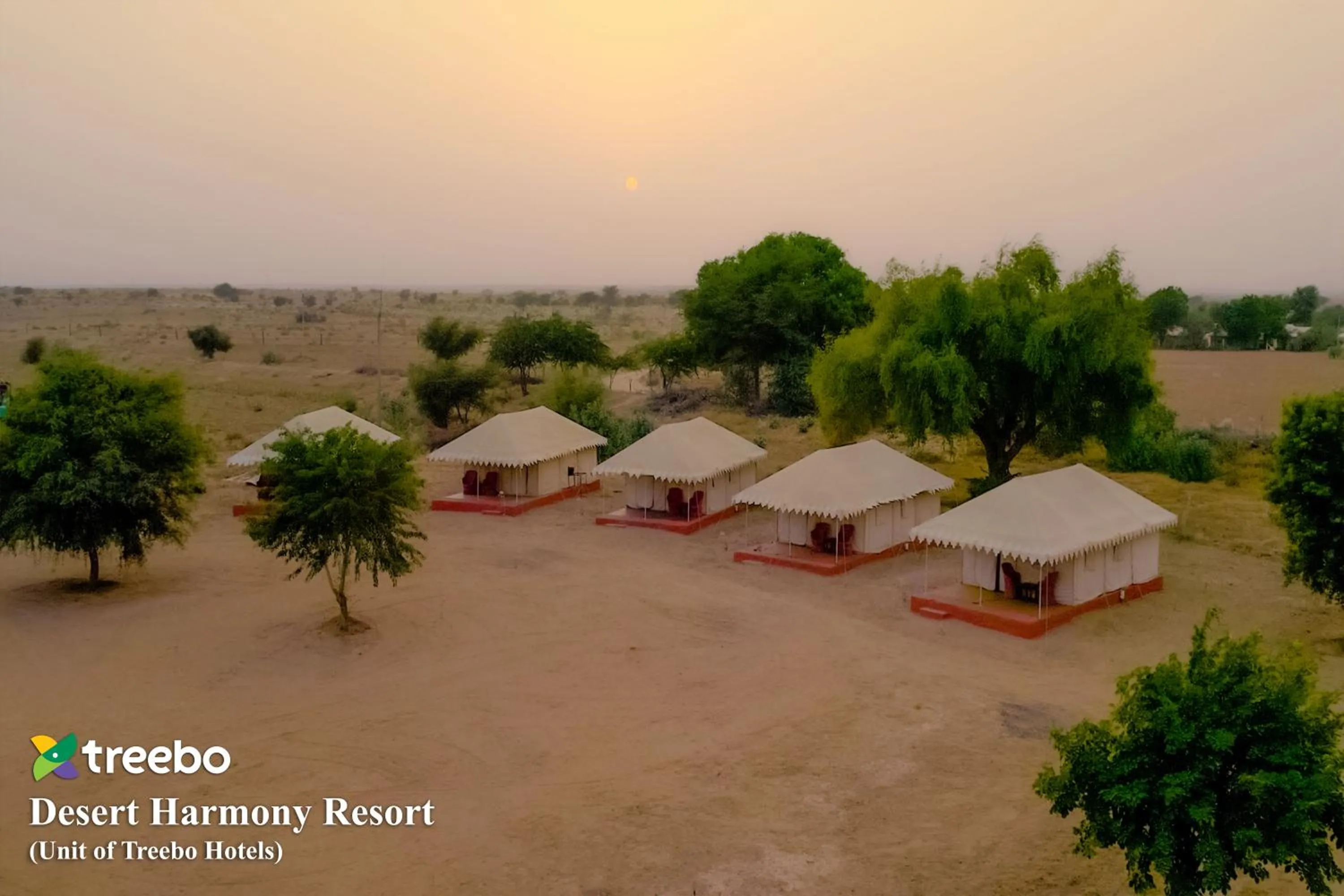 Day in Treebo Desert Harmony Camp