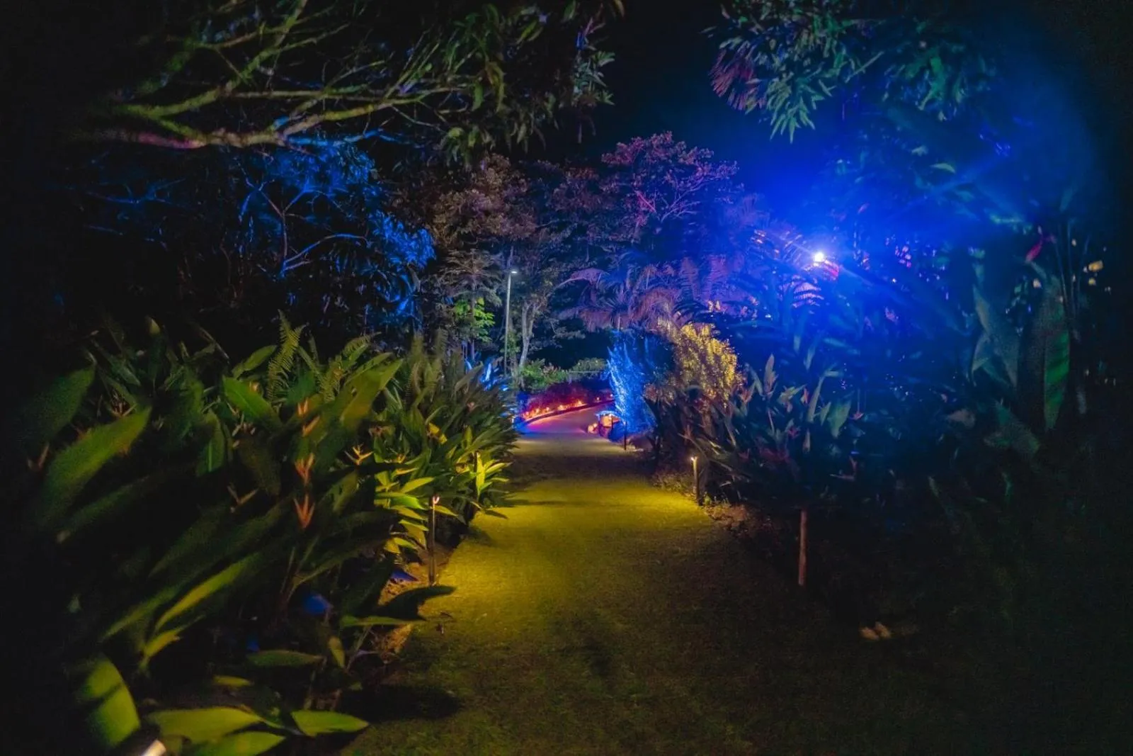 Garden in Biohotel Arara River