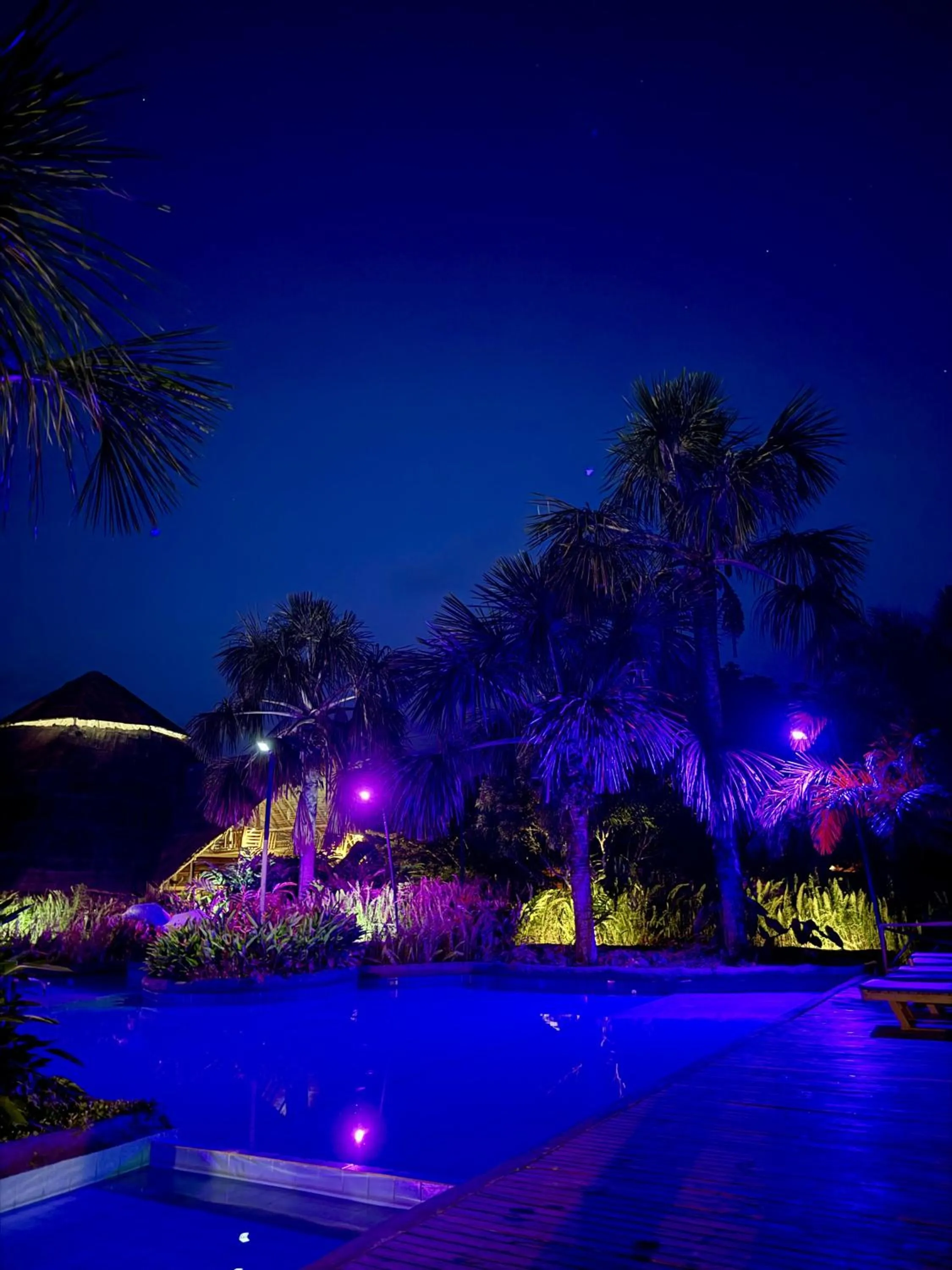 Swimming pool in Biohotel Arara River