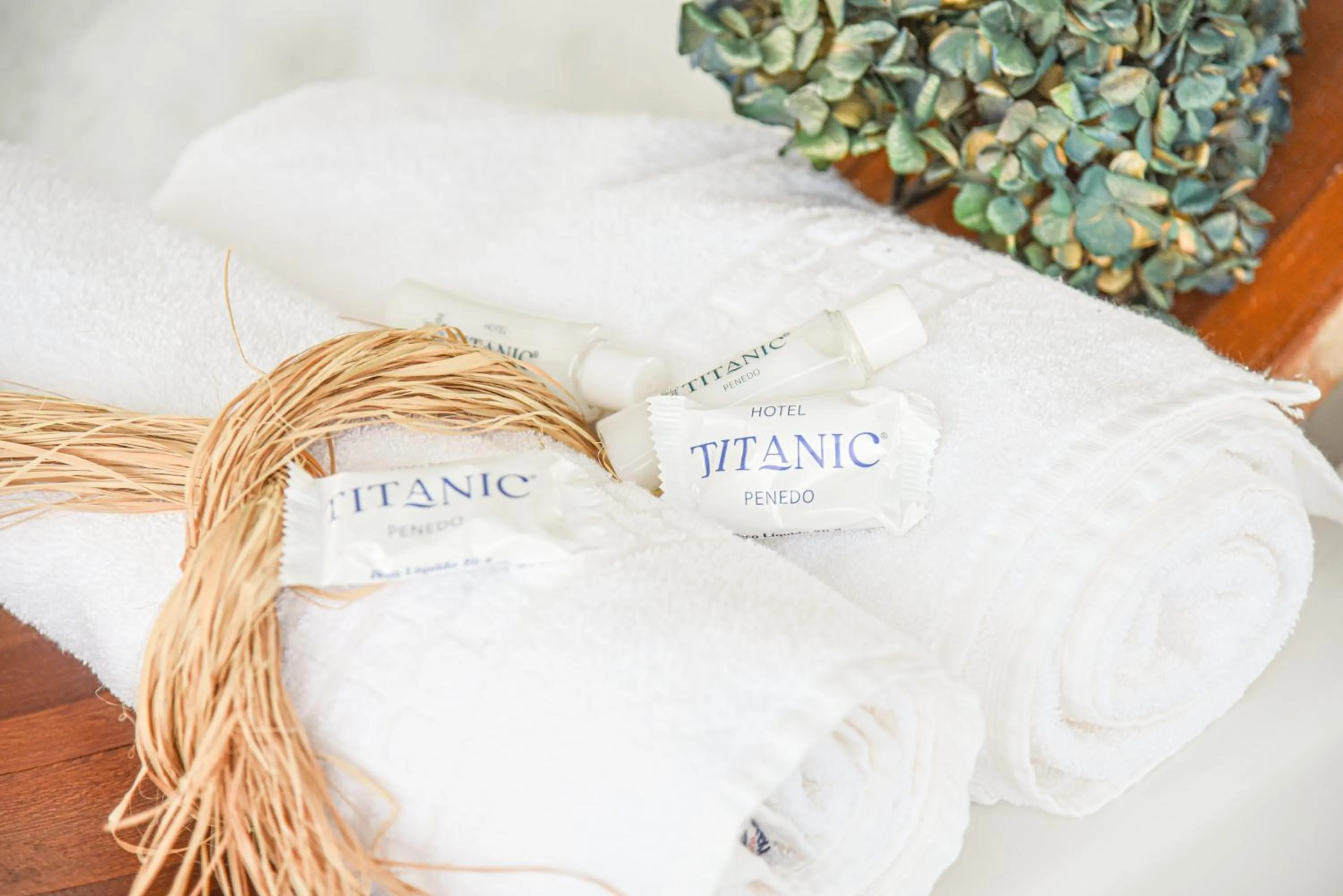 Hotel Titanic Penedo