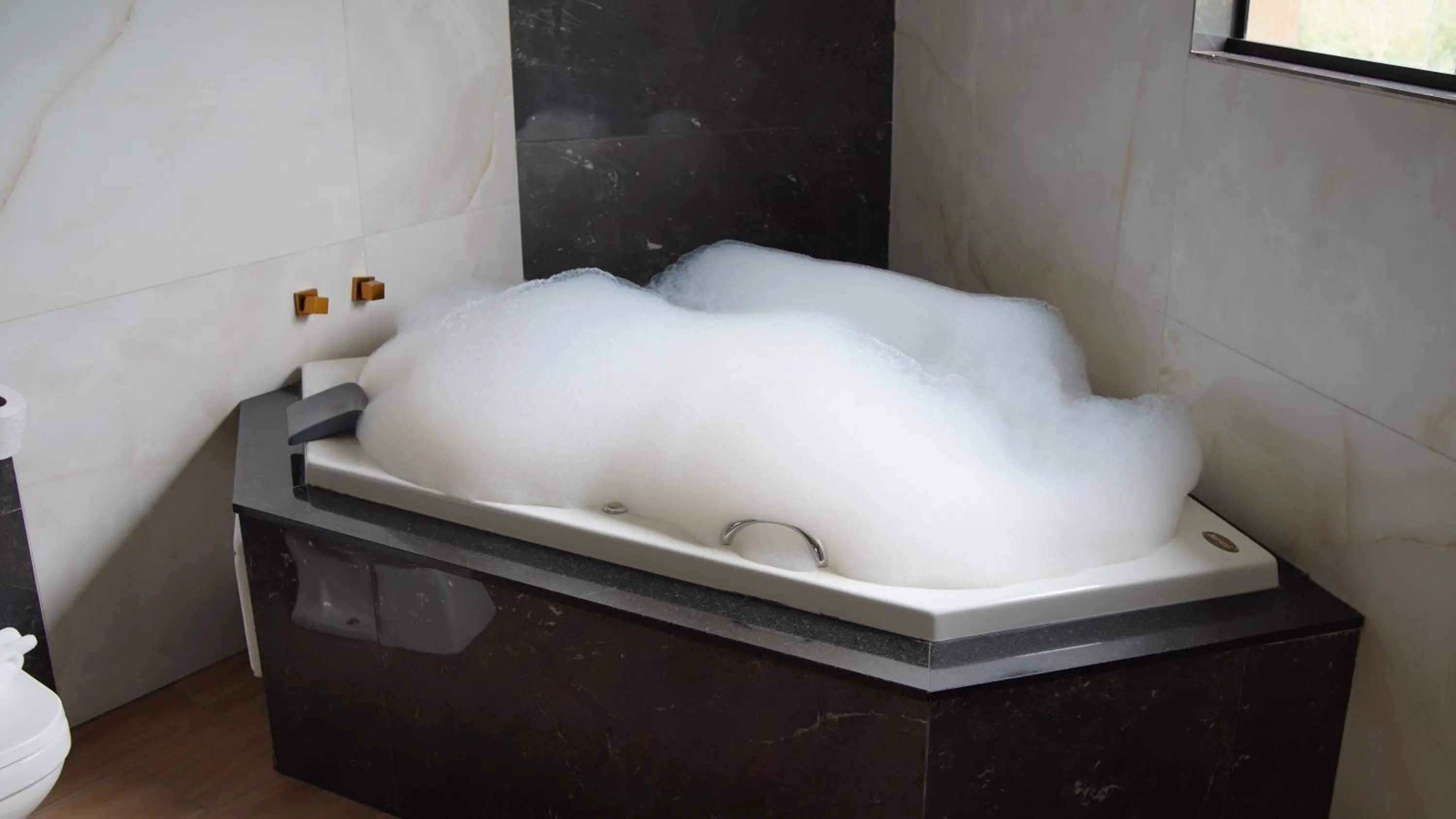 Hotel Titanic Penedo