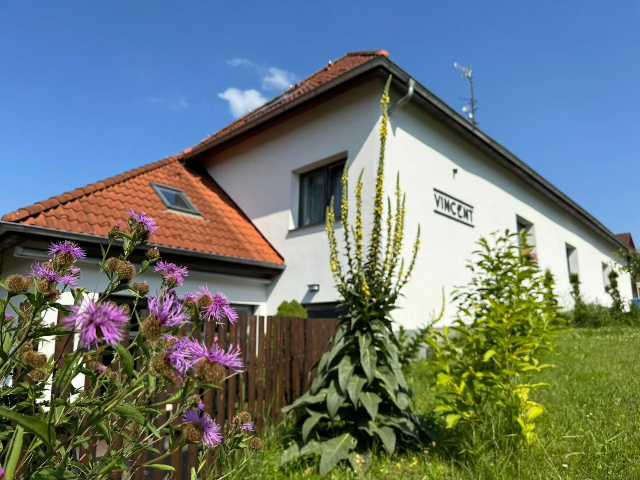 Property building in Hotel Vincent