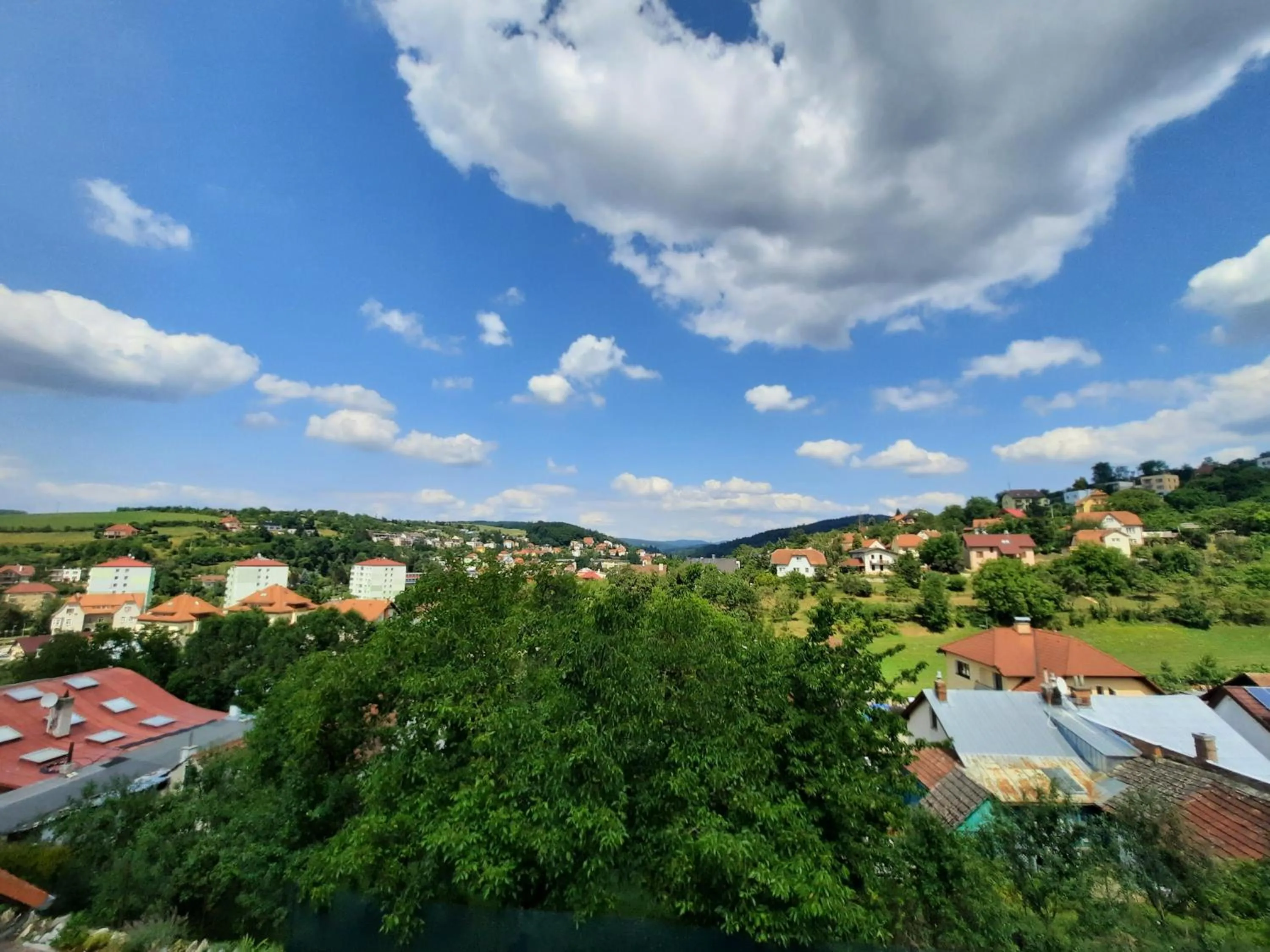 Garden in Hotel Vincent