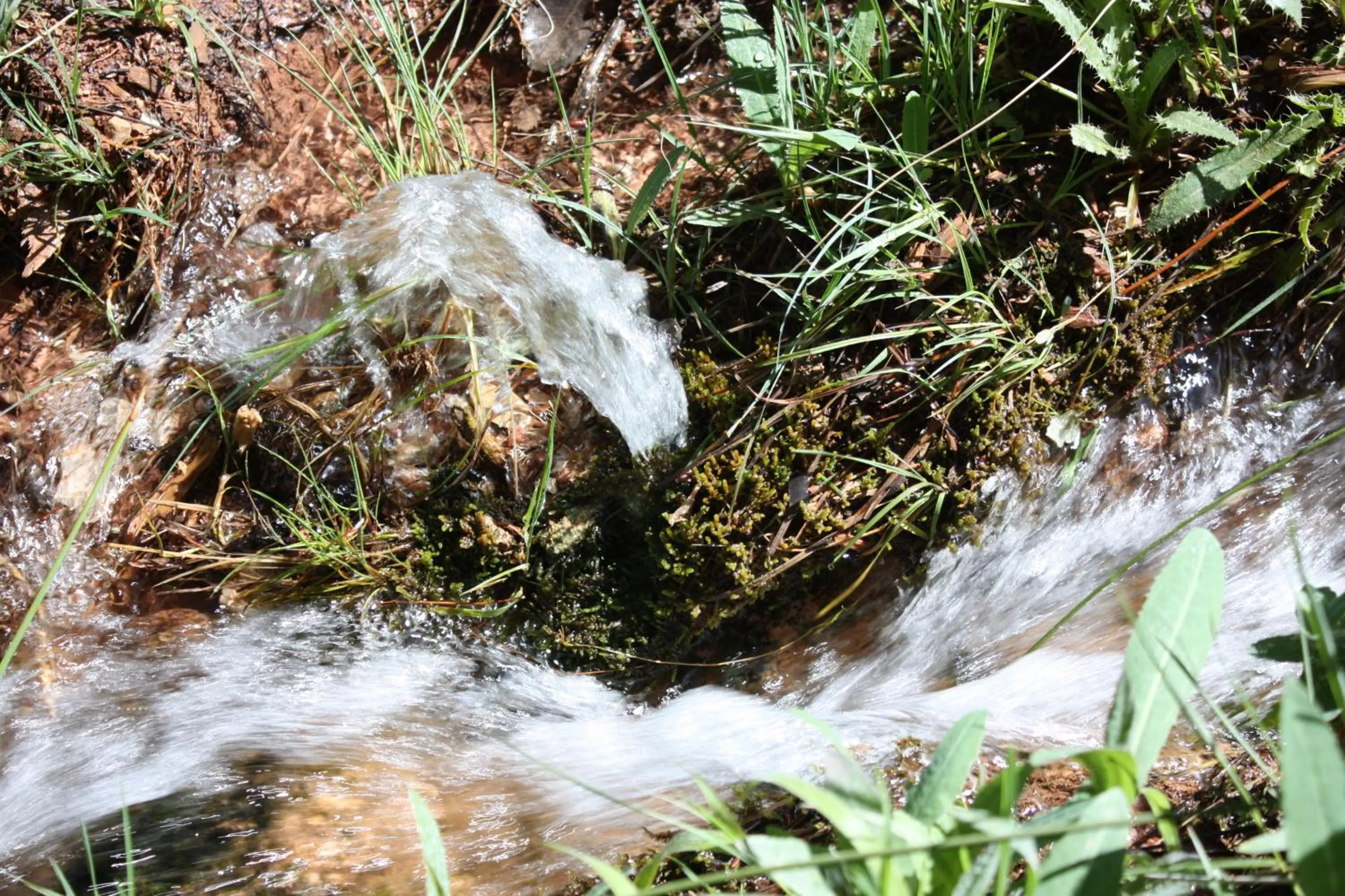 Other in Hotel Rural Montaña de Cazorla