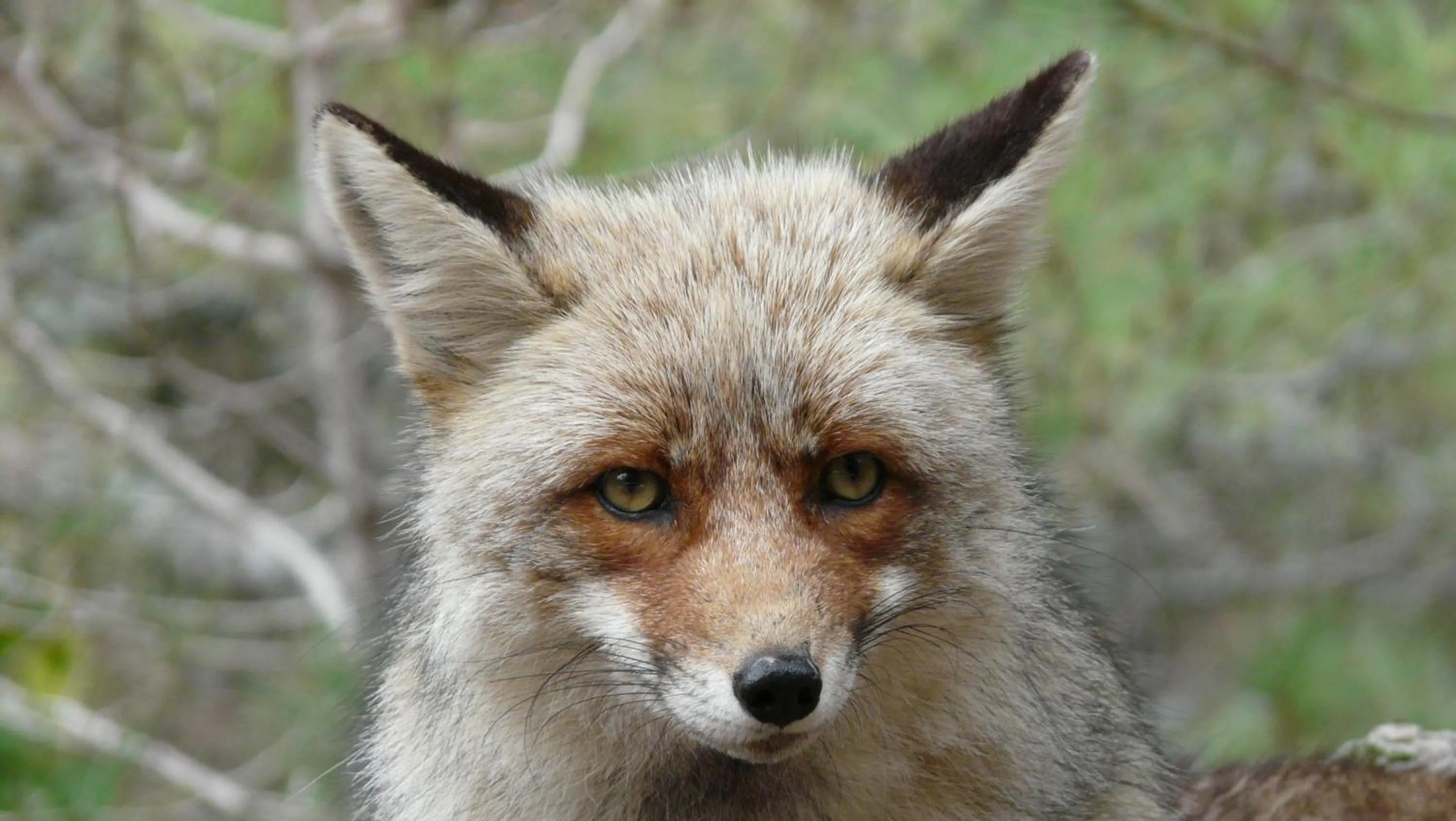 Other in Hotel Rural Montaña de Cazorla