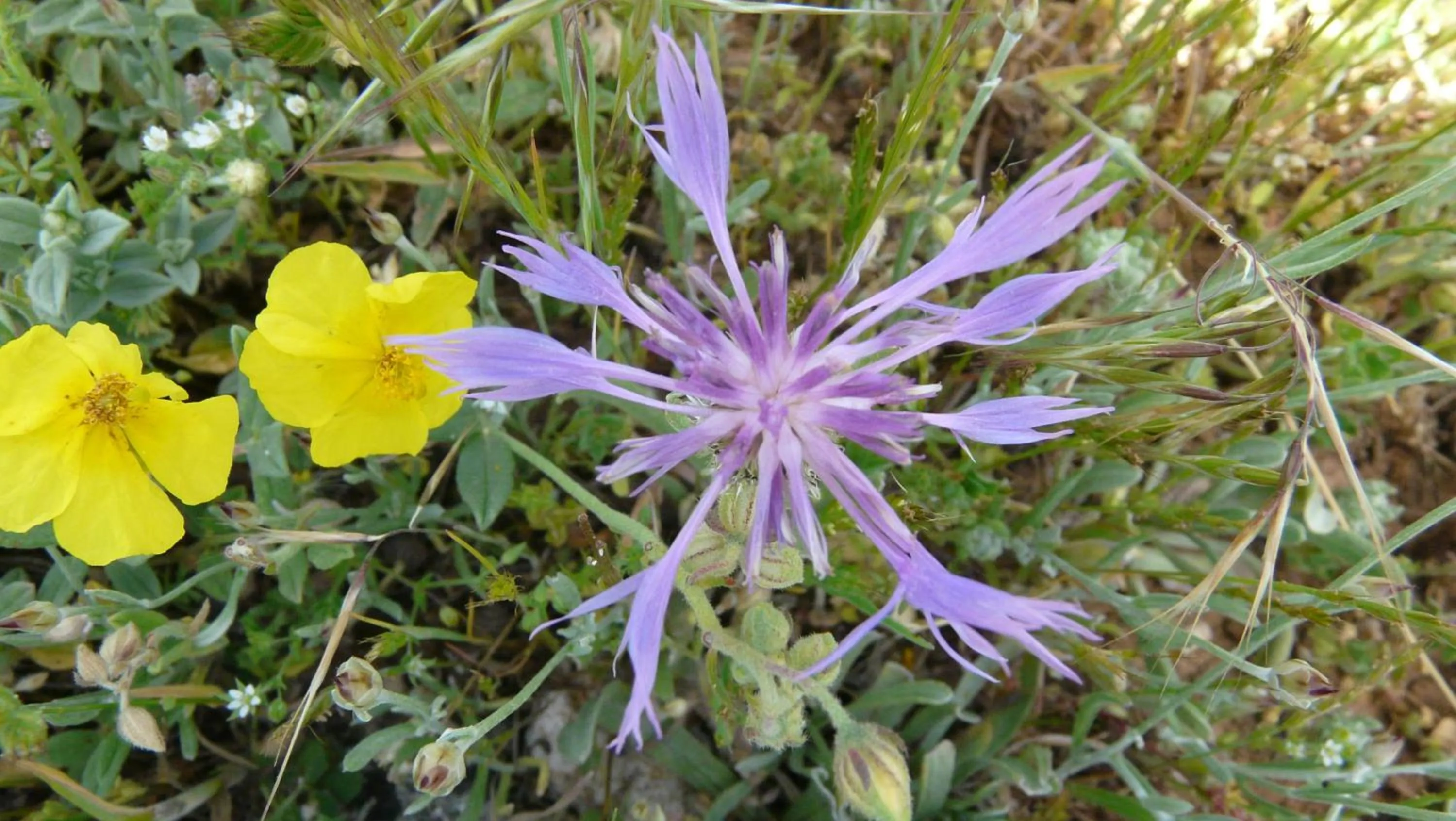 Other in Hotel Rural Montaña de Cazorla