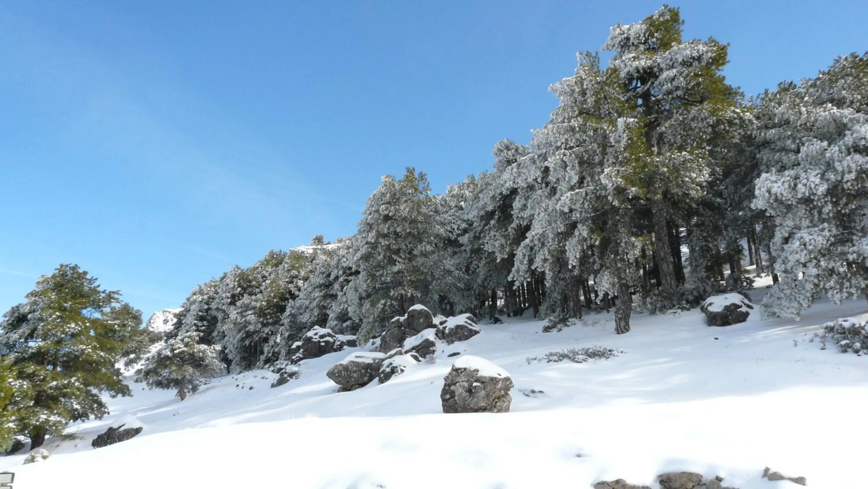 Entertainment in Hotel Rural Montaña de Cazorla
