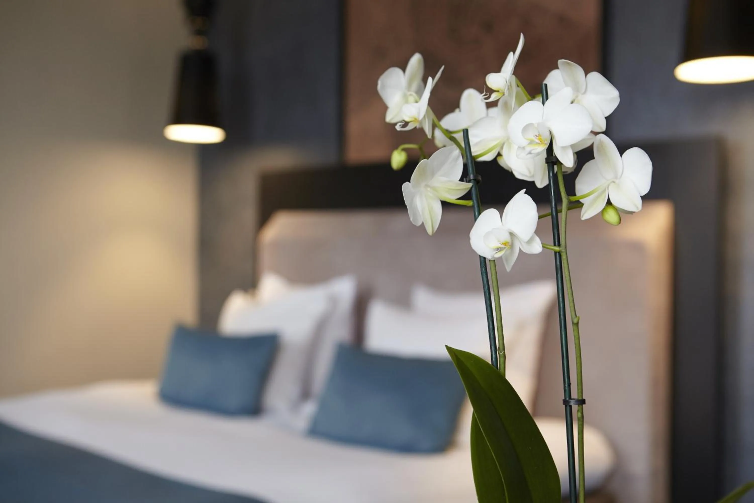 Decorative detail, Bed in No. 377 House