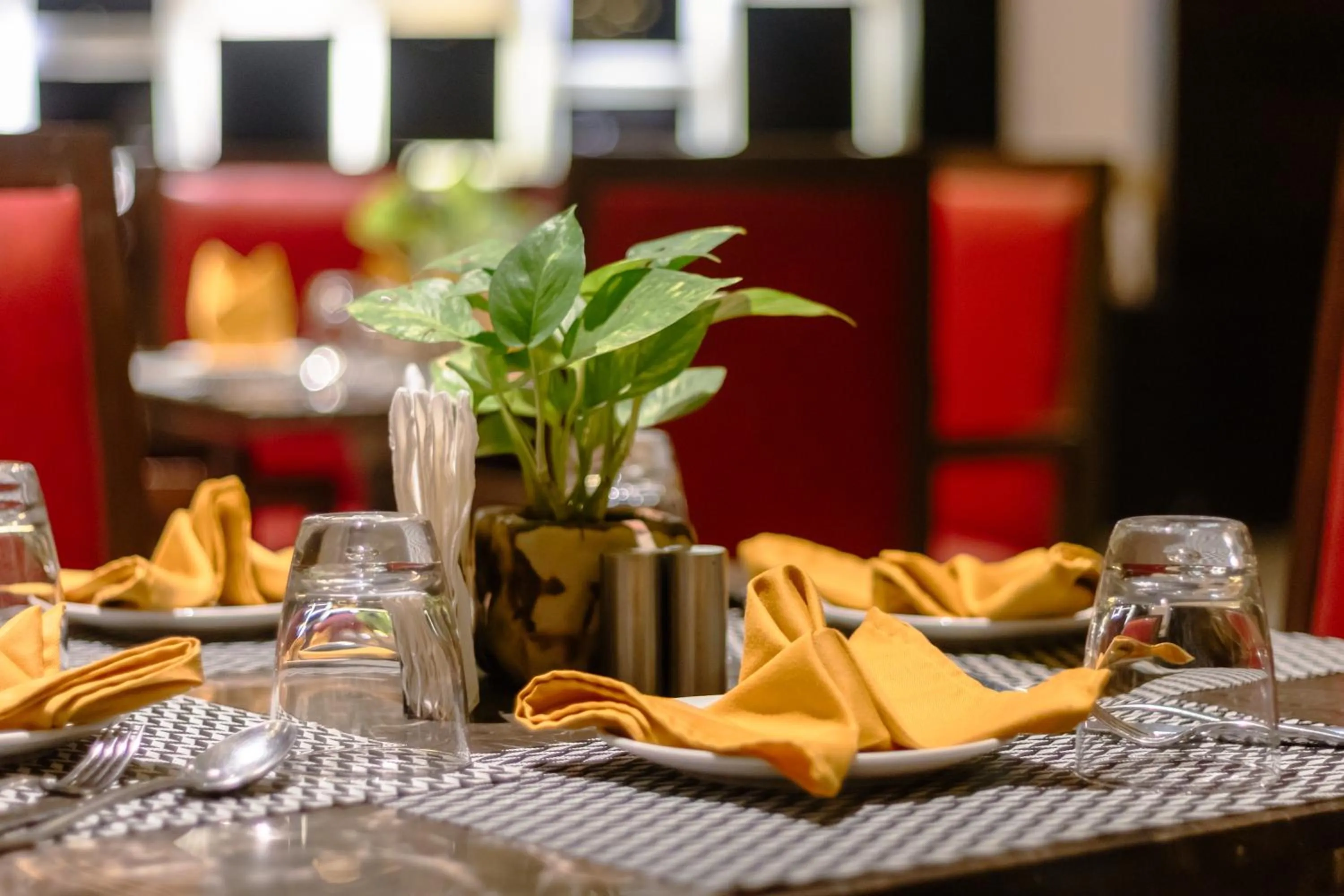 Restaurant/places to eat in Udman Hotel Chhattarpur