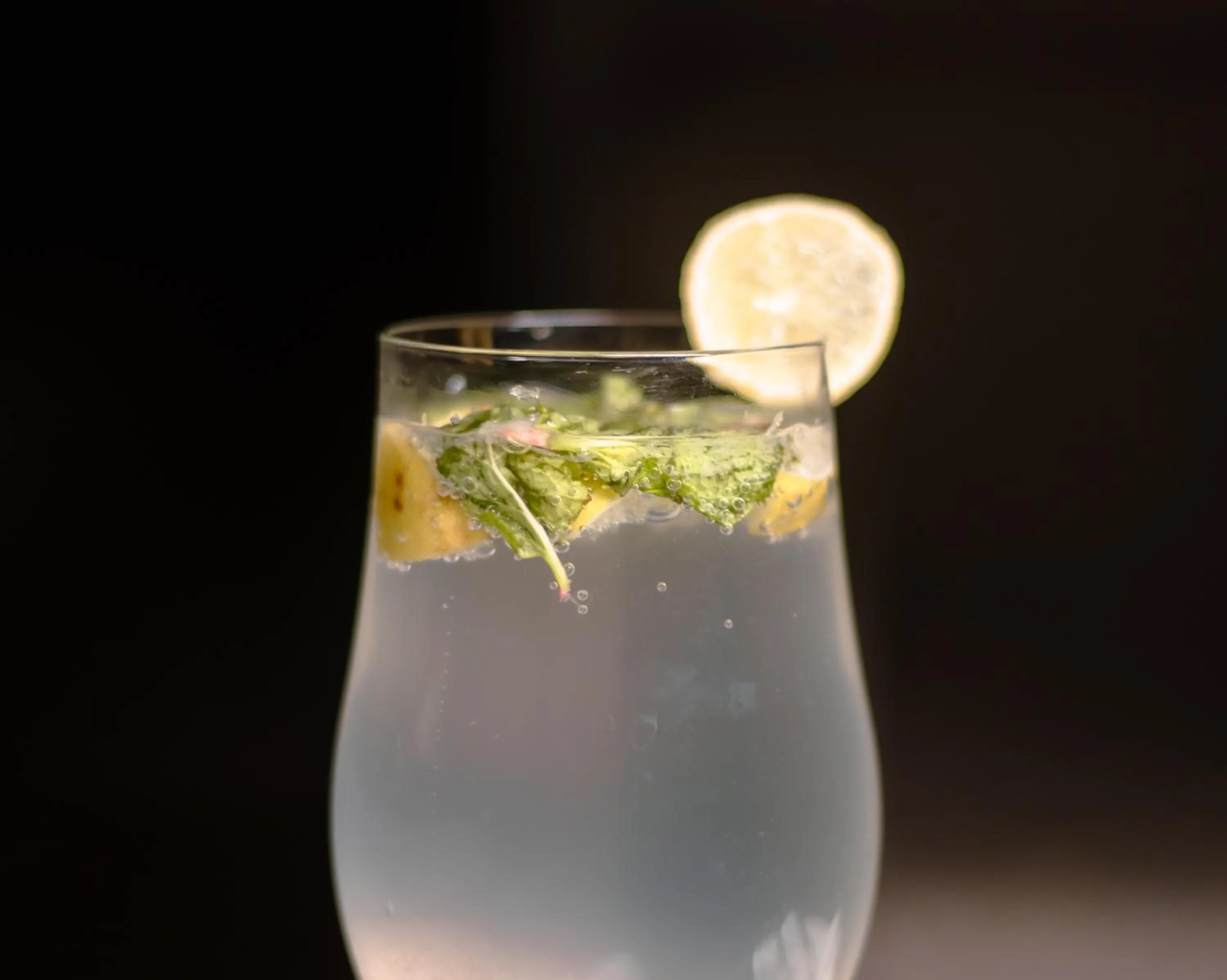 Drinks in Udman Hotel Chhattarpur