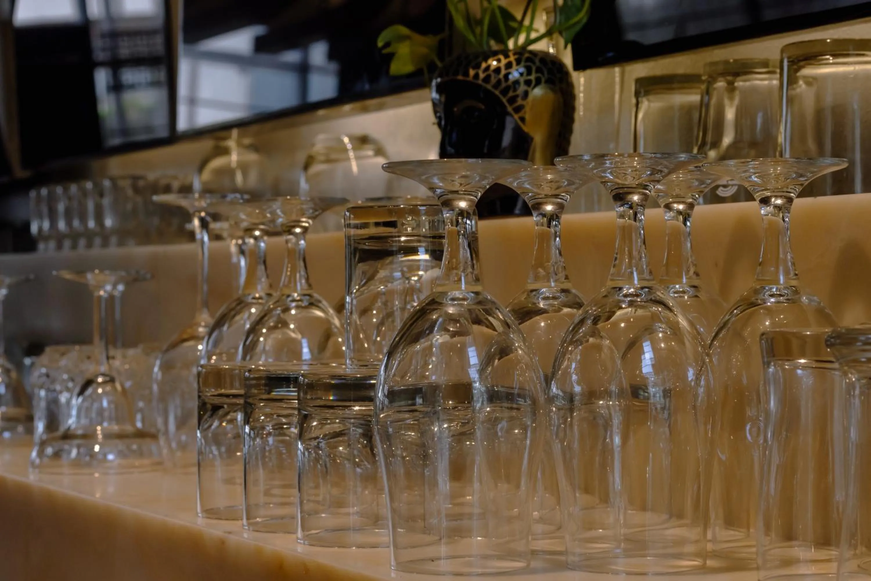 Drinks in Udman Hotel Chhattarpur