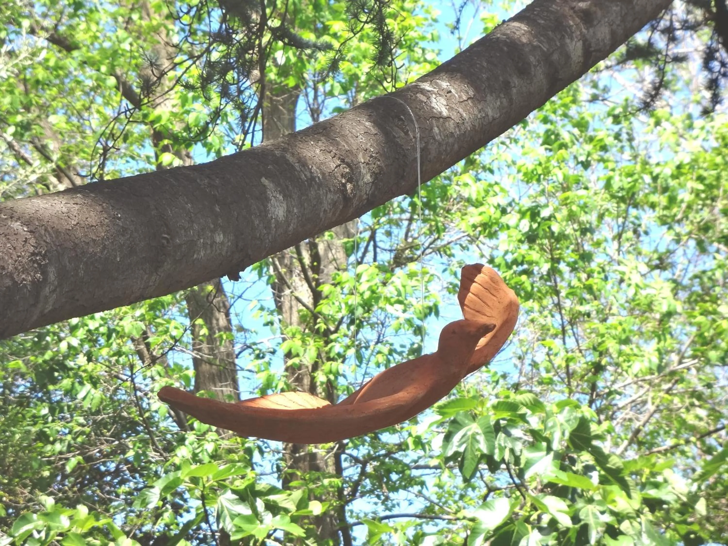 Garden in Casa Augusto B&B