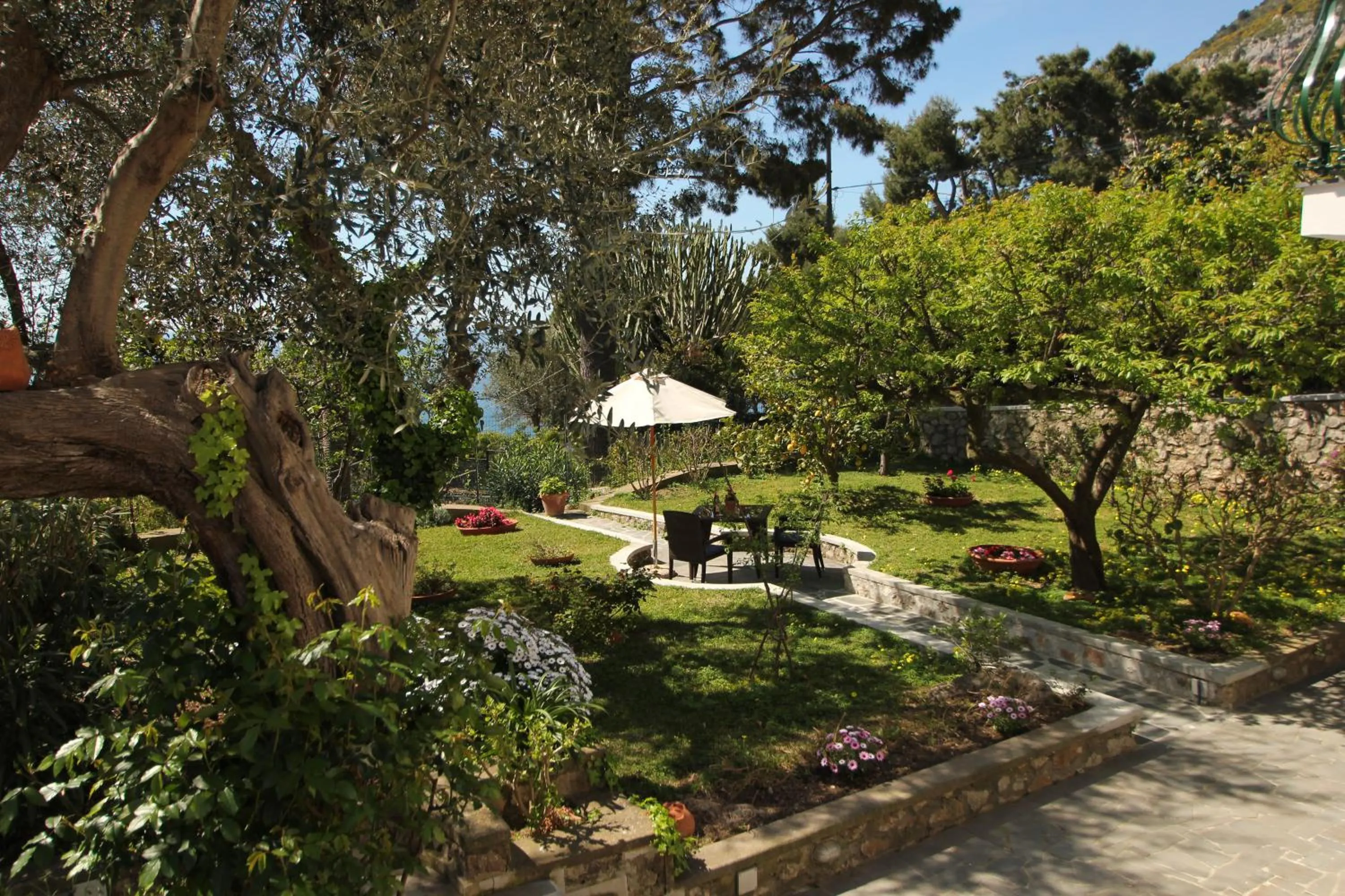 Garden in Casa Augusto B&B