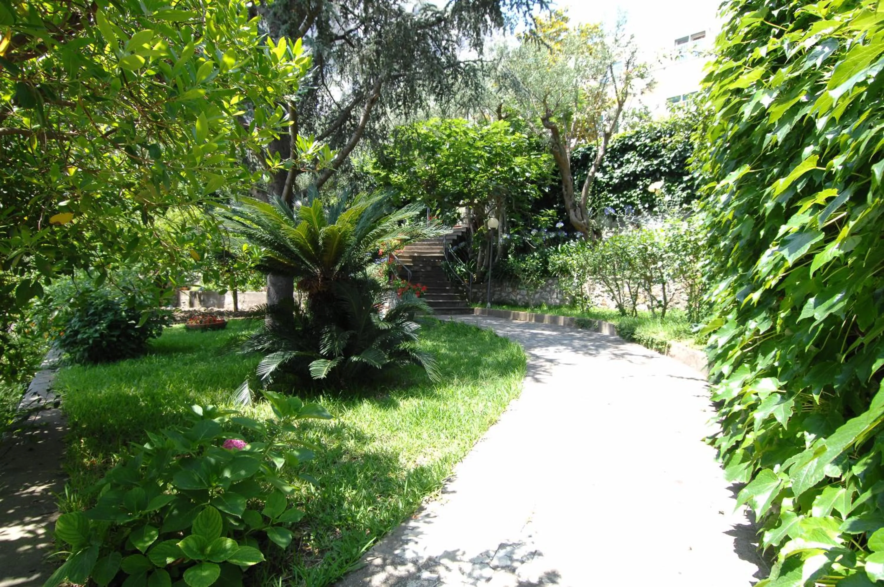 Garden in Casa Augusto B&B