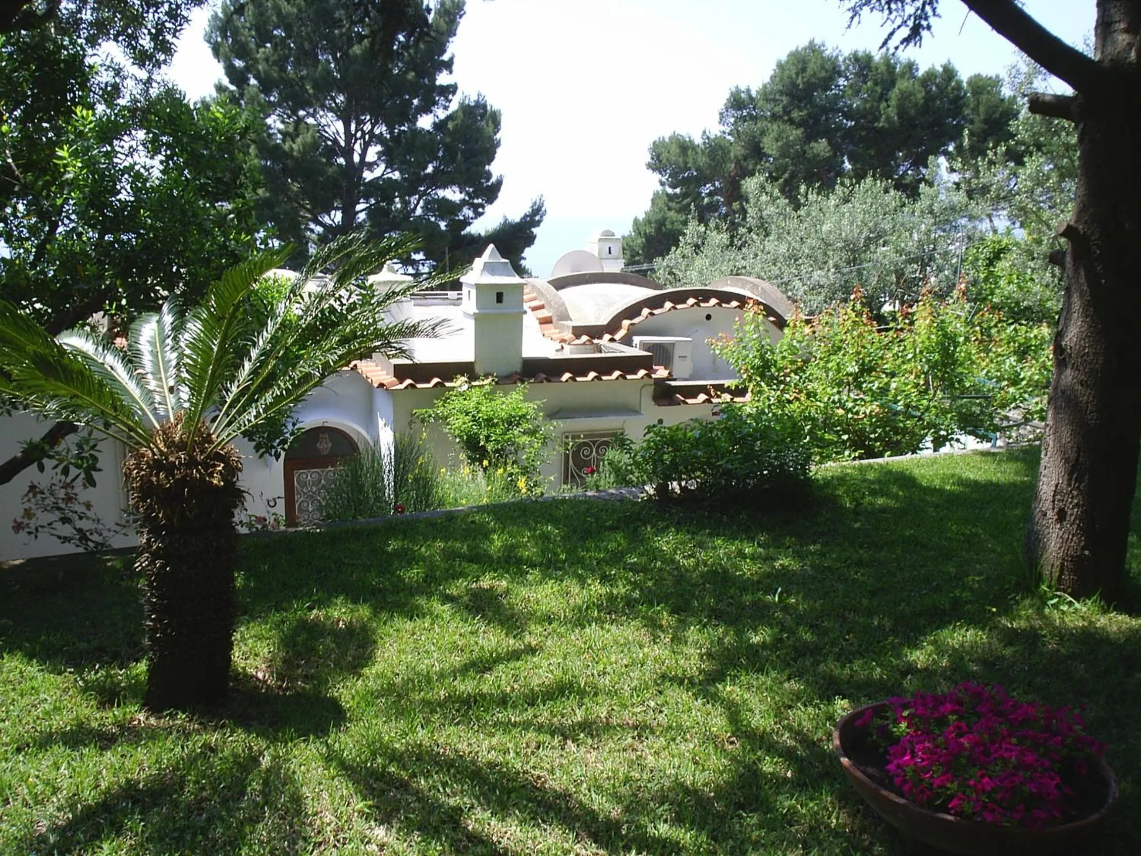 Garden in Casa Augusto B&B