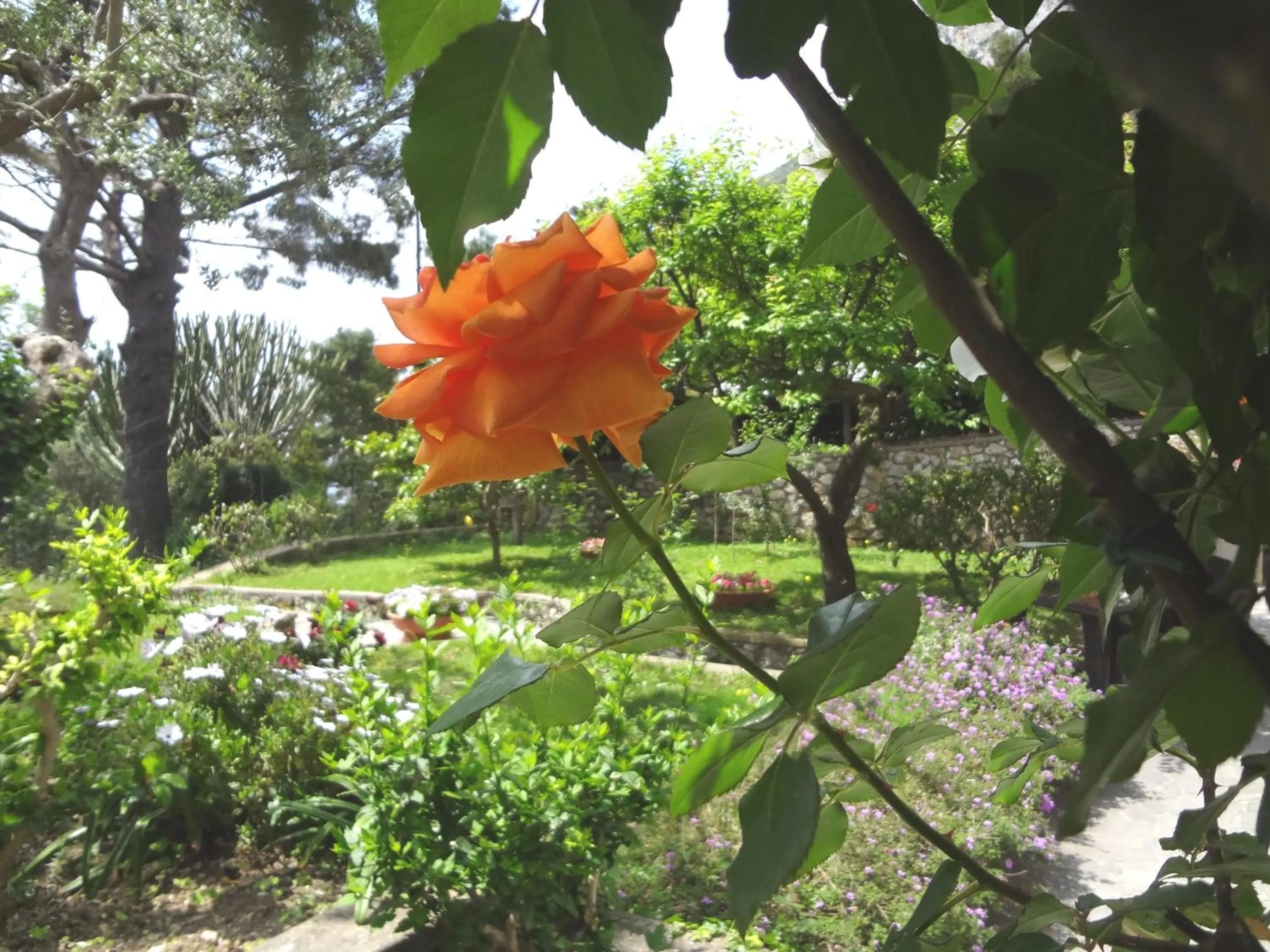 Garden in Casa Augusto B&B
