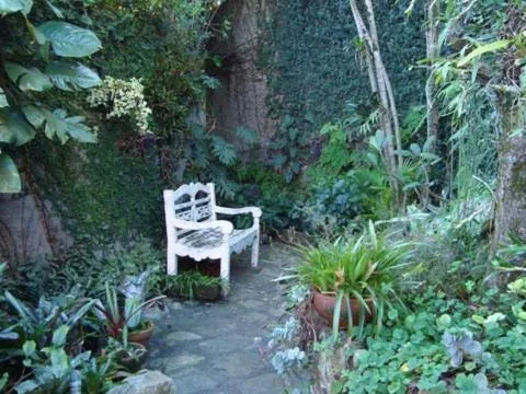 Garden in Casa Alecrim