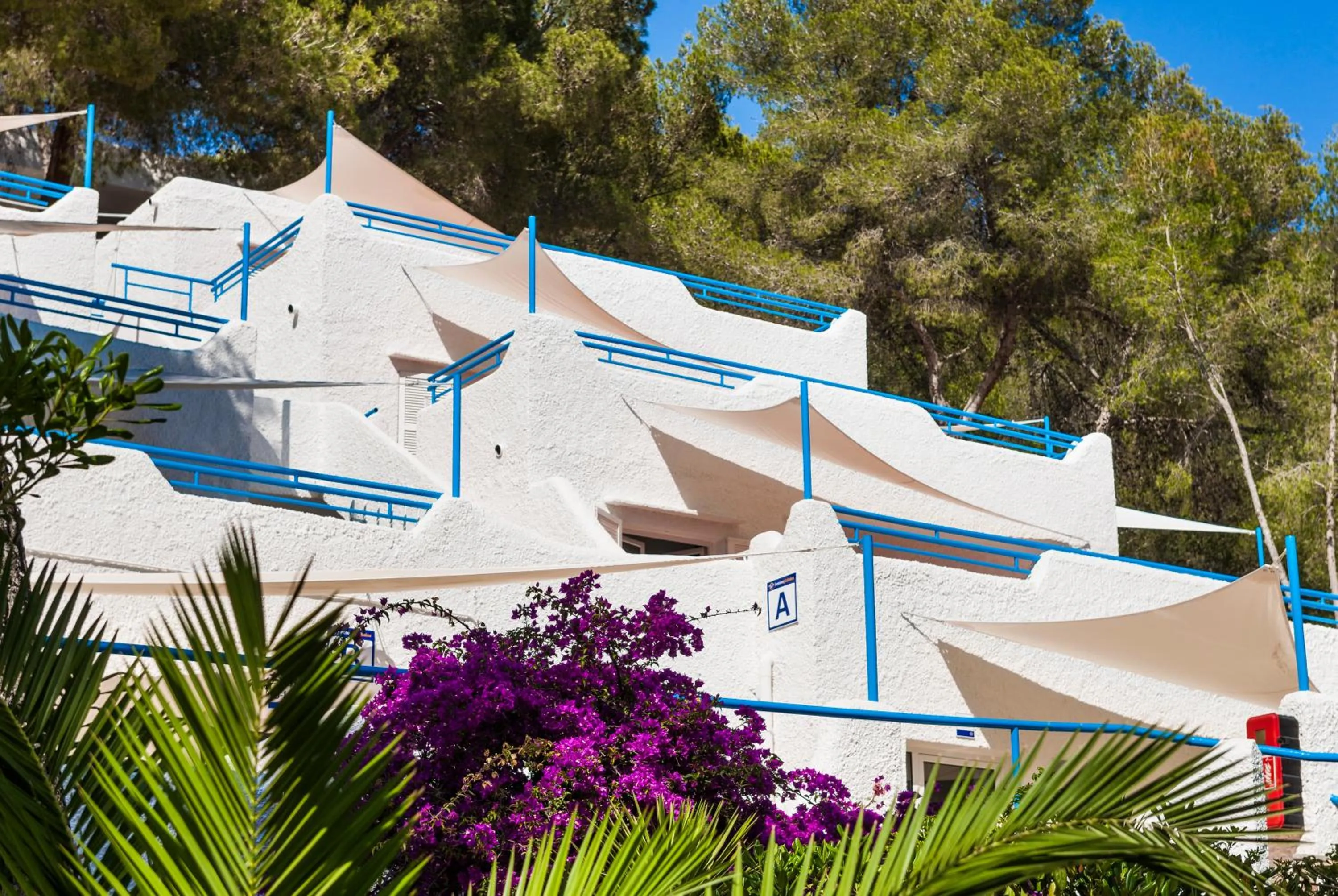 Garden in Globales Montemar