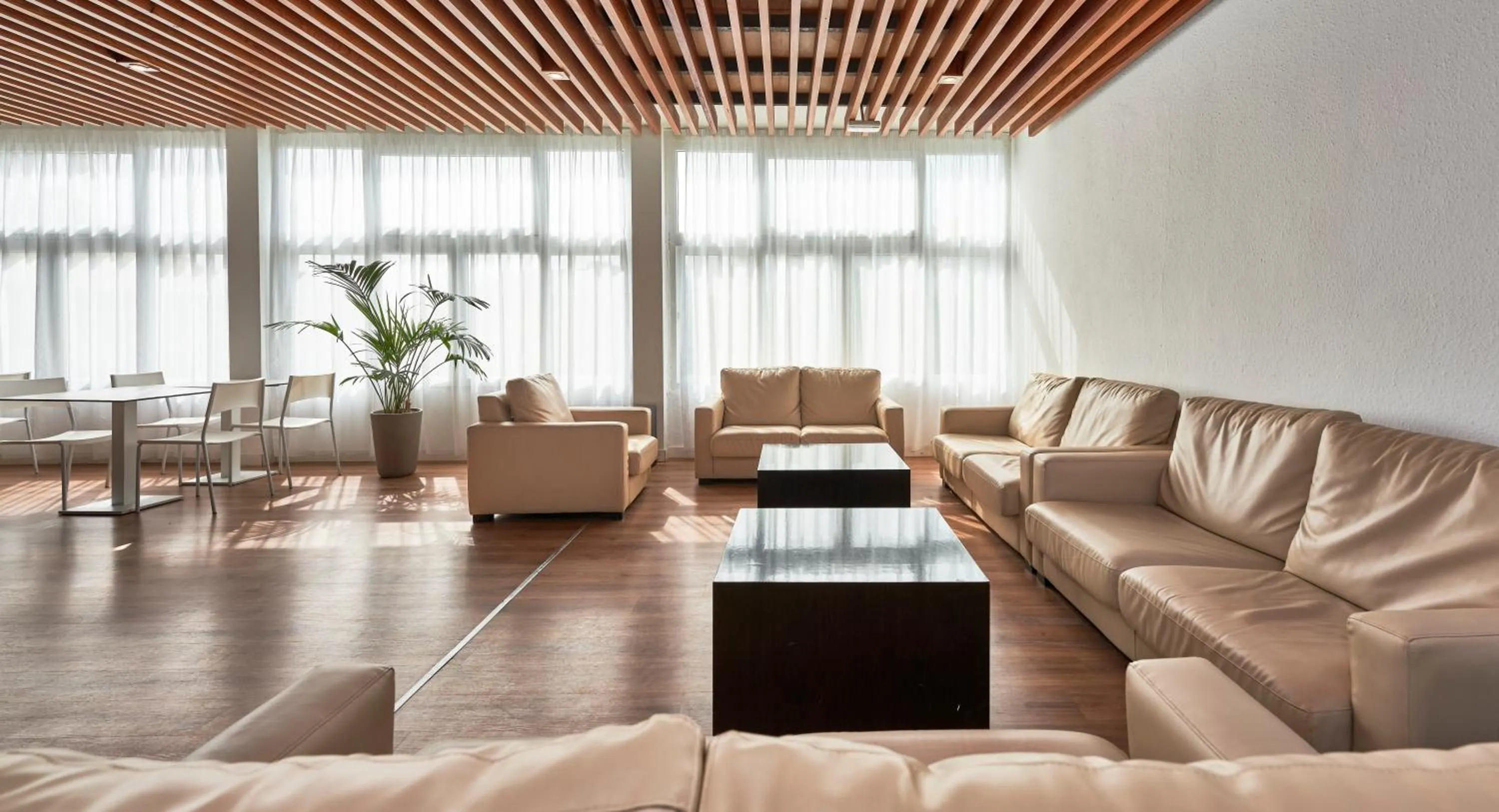 Lounge or bar in Globales Cala'n Bosch