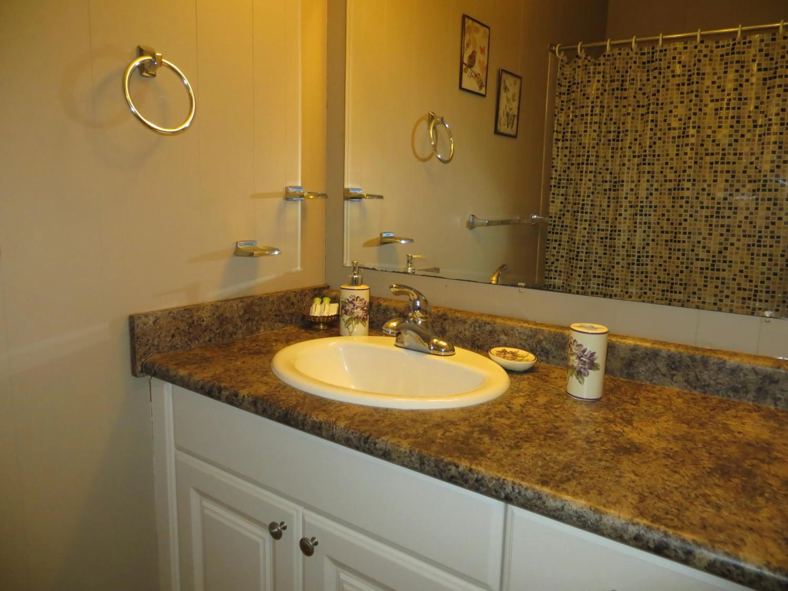 Bathroom in College Park Bed & Breakfast